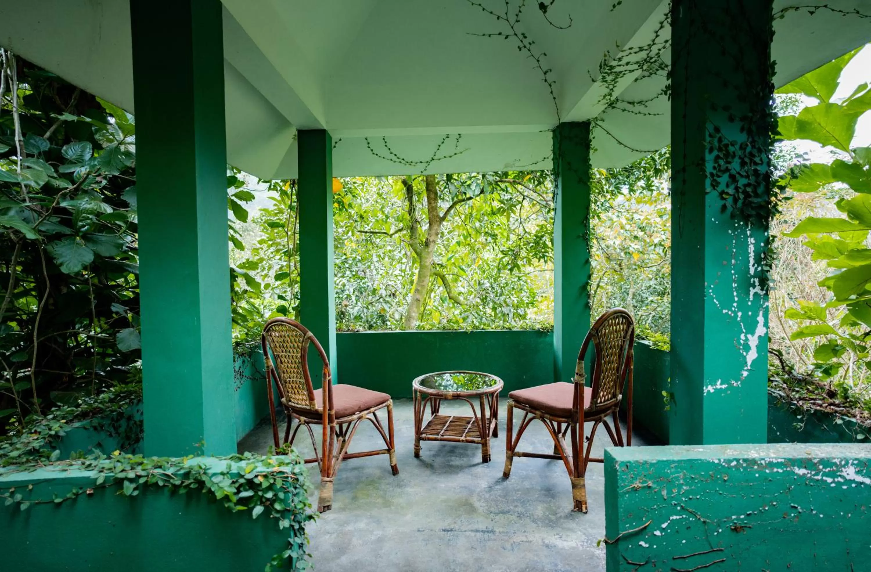 Patio in Edens Munnar