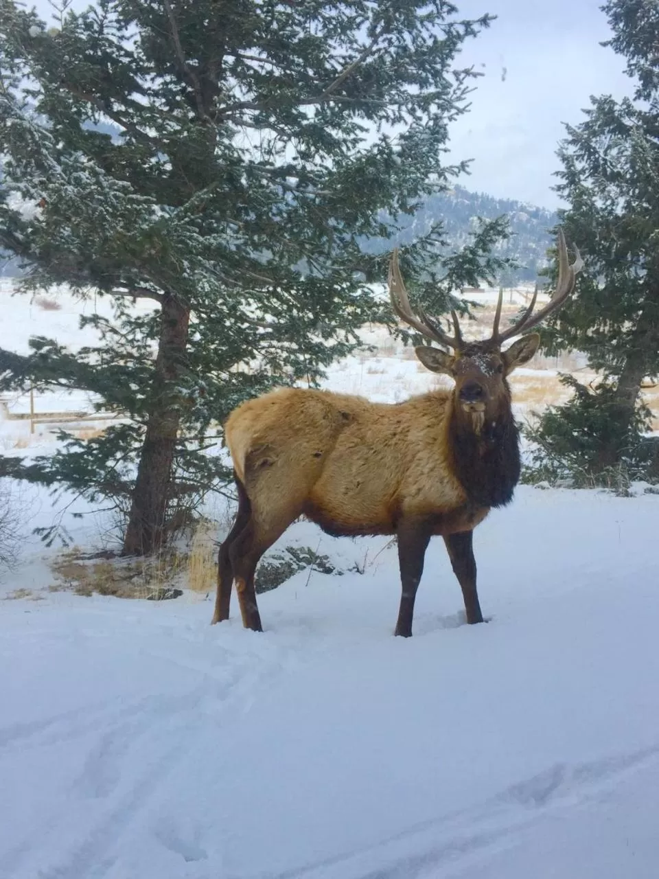 Riversong Inn Retreat