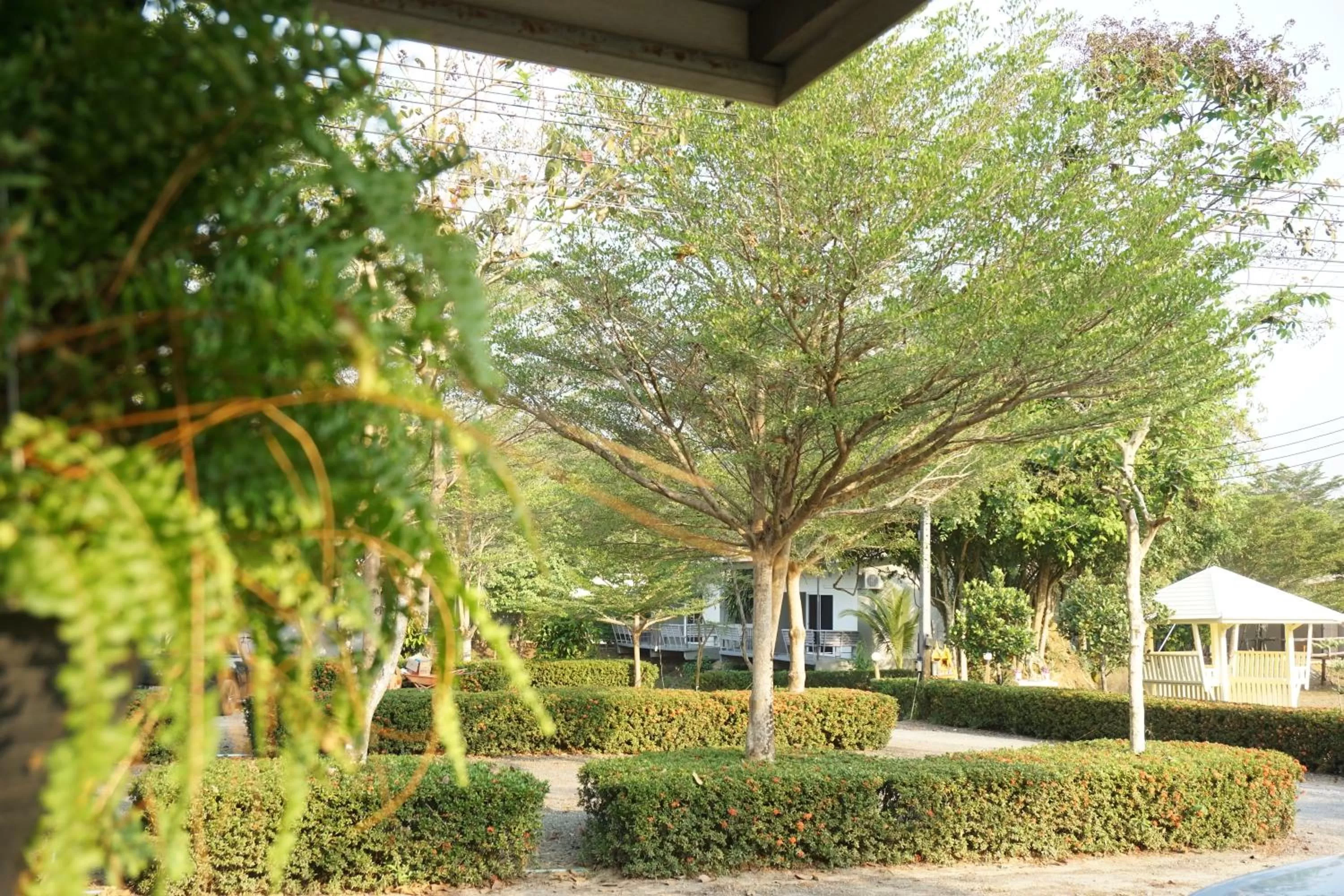 Garden in แกรนด์ ฟอเรสท์ Grand Forest