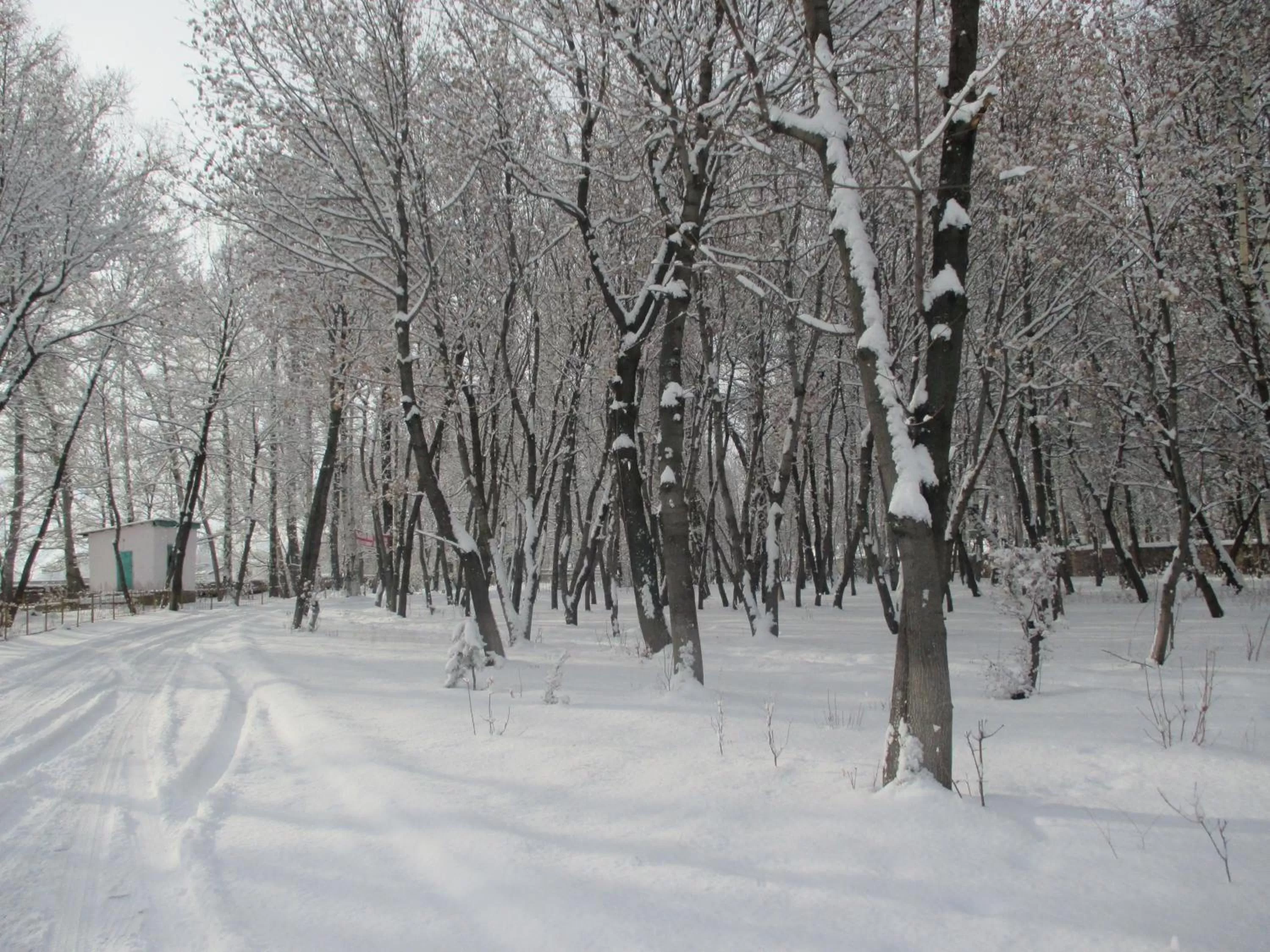 Winter in Otel Issyk-Kul Karakol