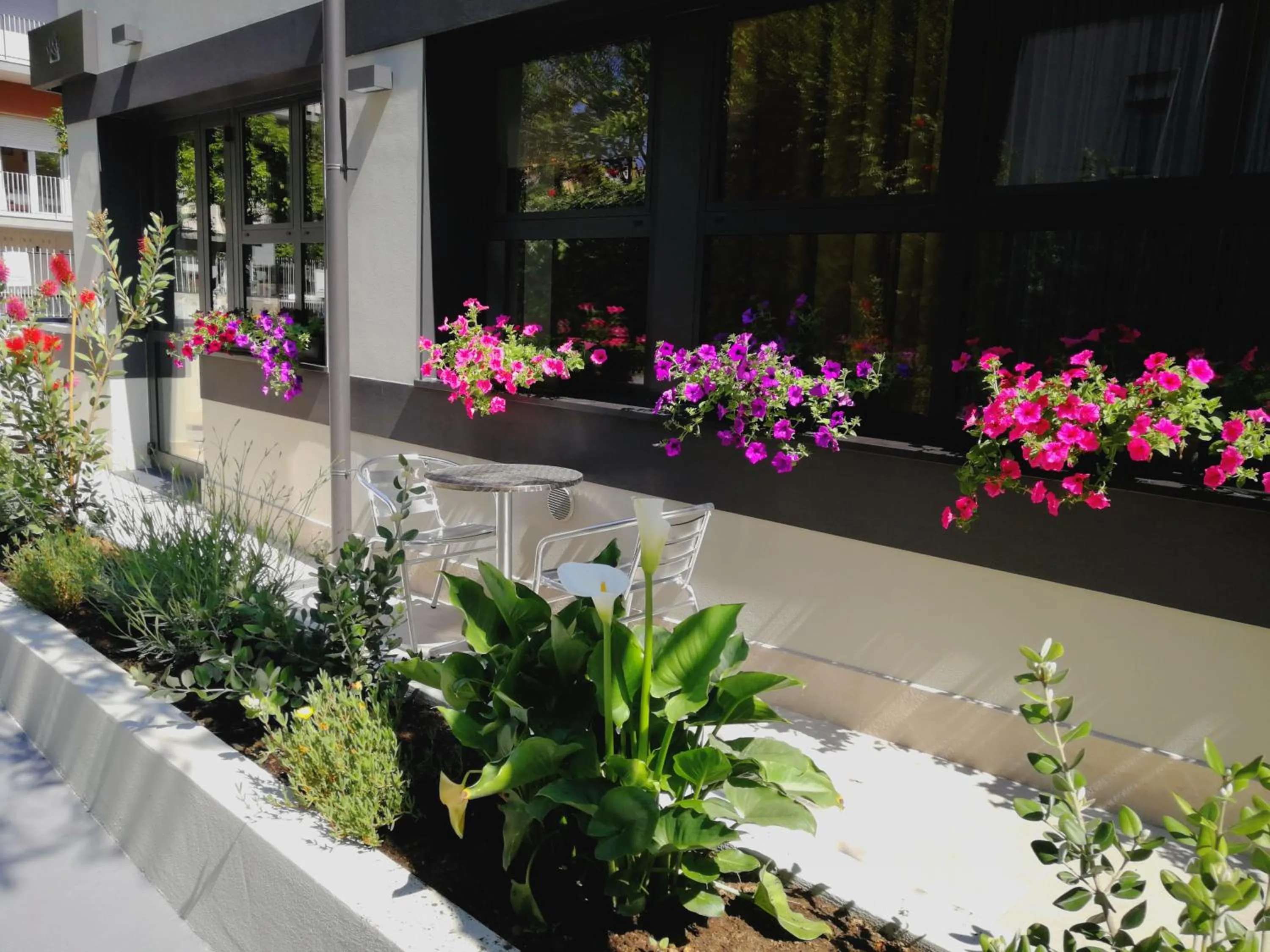 Facade/entrance in Hotel Villa MIKI