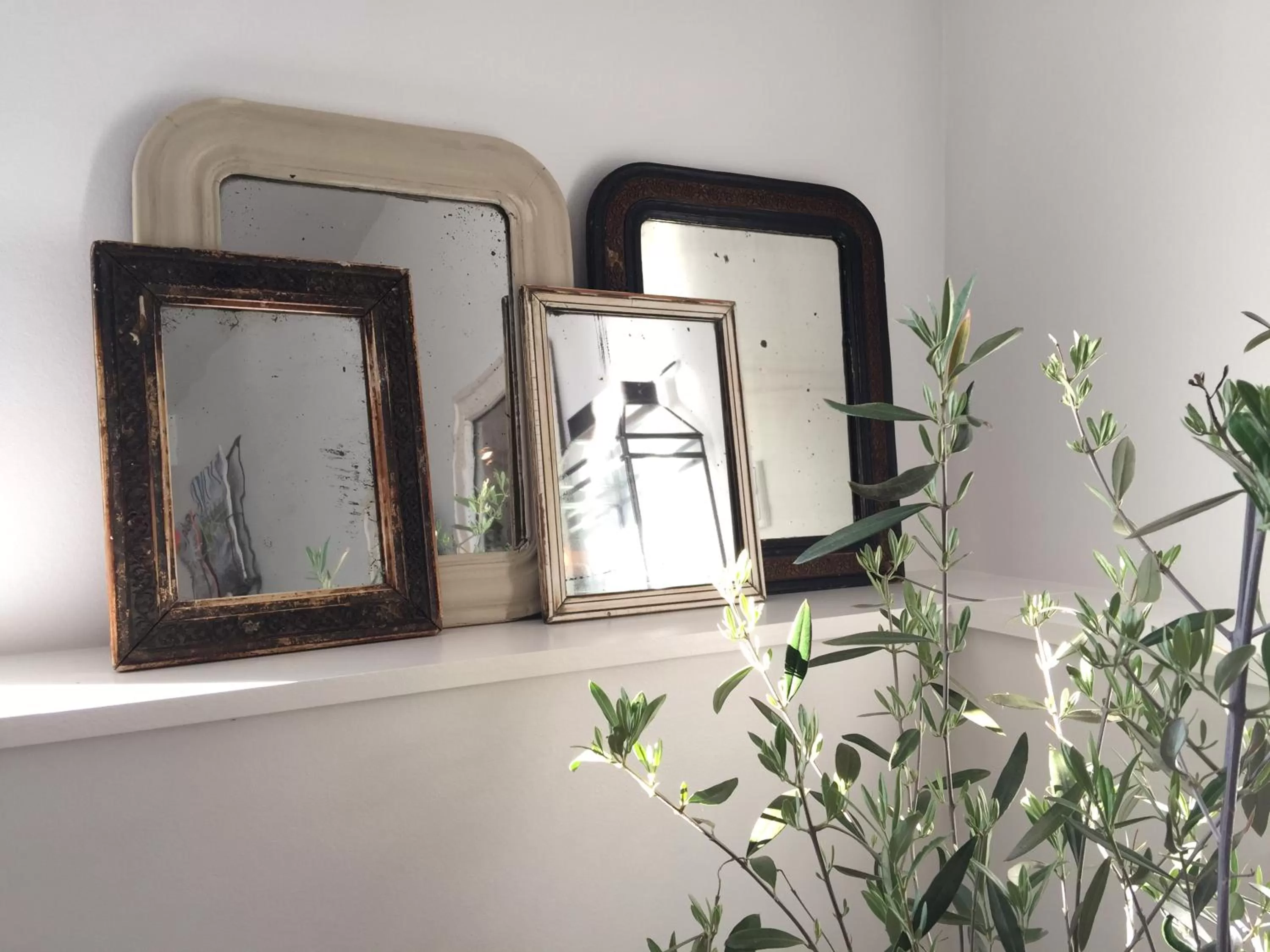 Dragondrum Bed & Breakfast