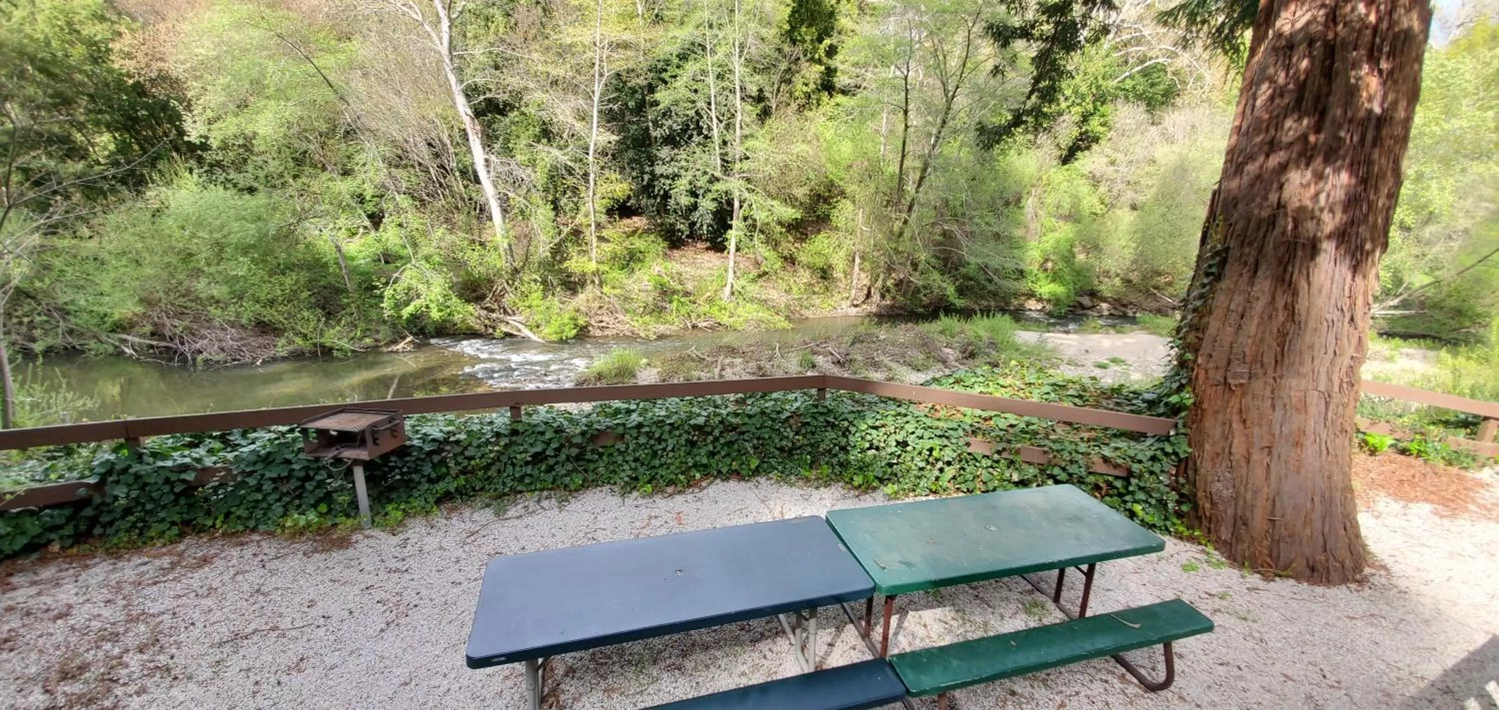 River view in Fern River Resort