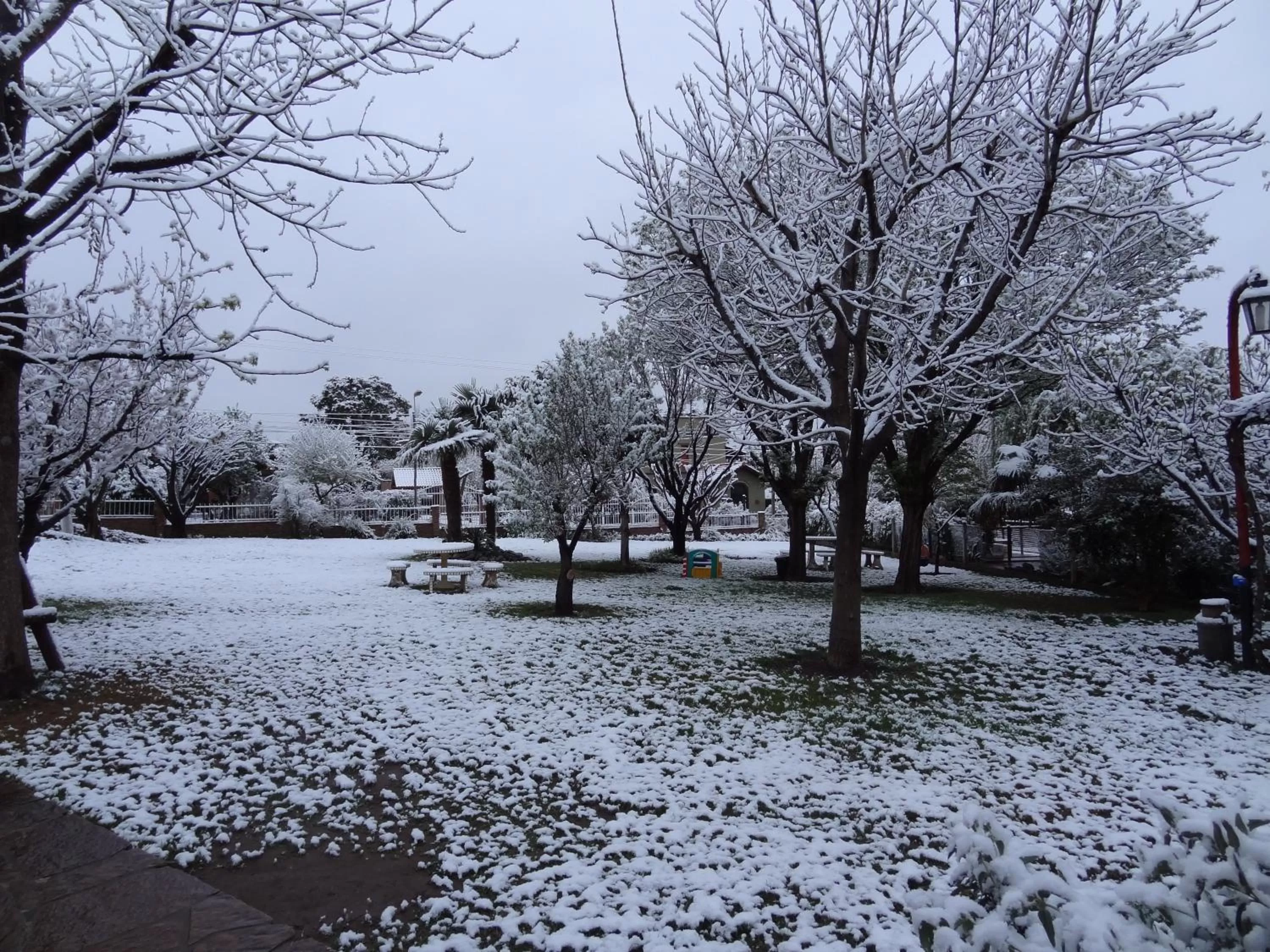 Garden in Hostería Lida