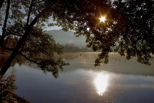Area and facilities in Gästehaus Wald und See