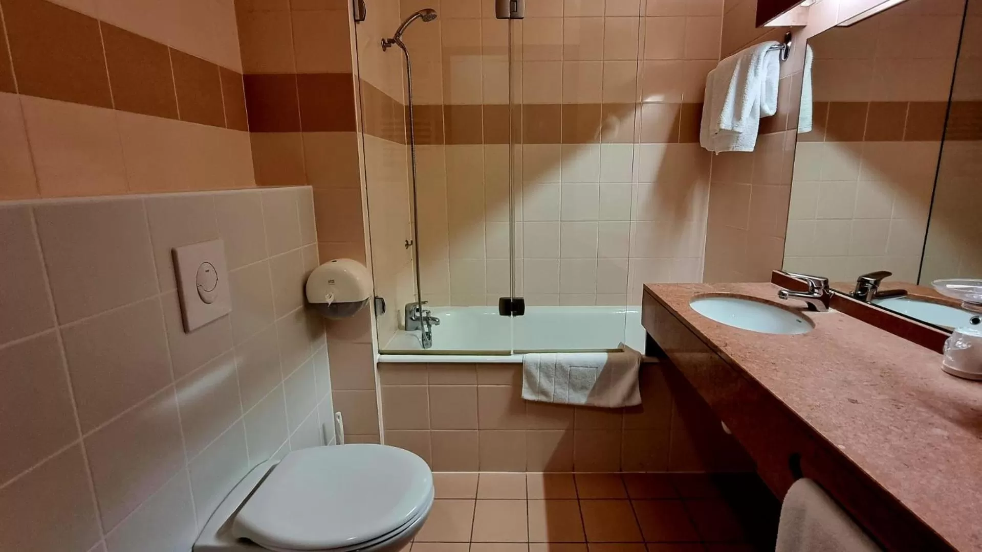 Toilet in Hôtel Siatel Besançon Chateaufarine