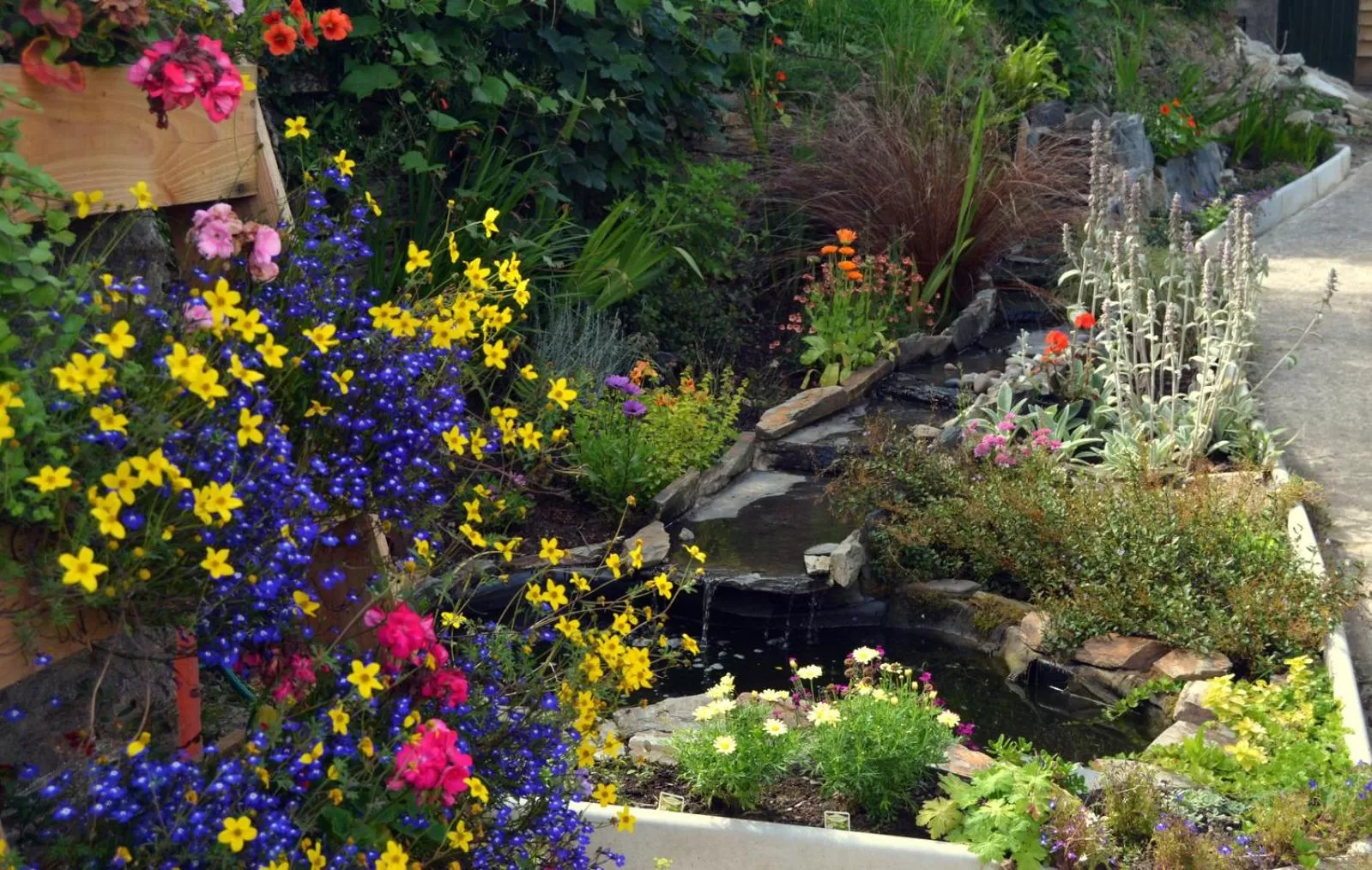 Garden in The Creamery