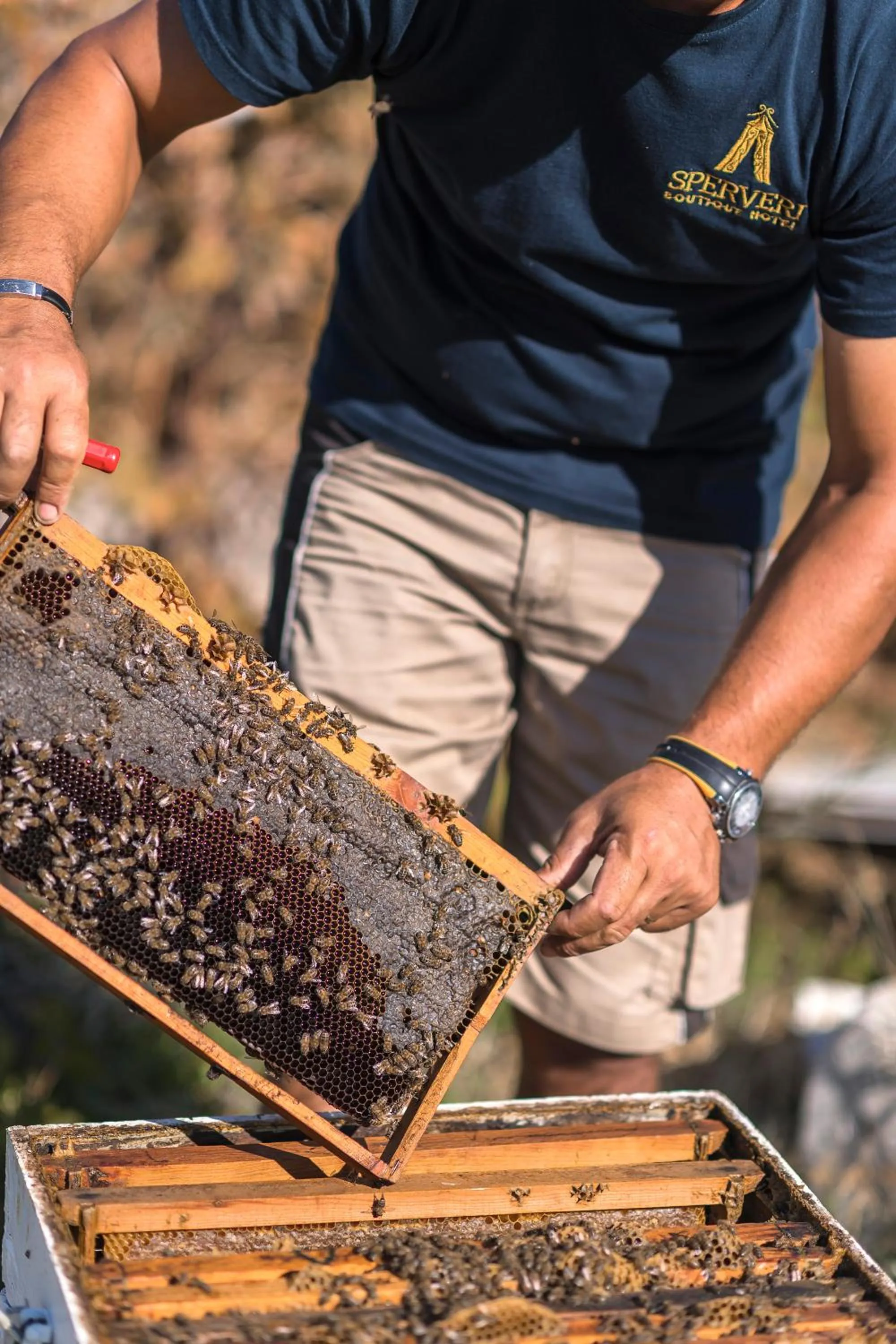 Breakfast in Sperveri Boutique Hotel