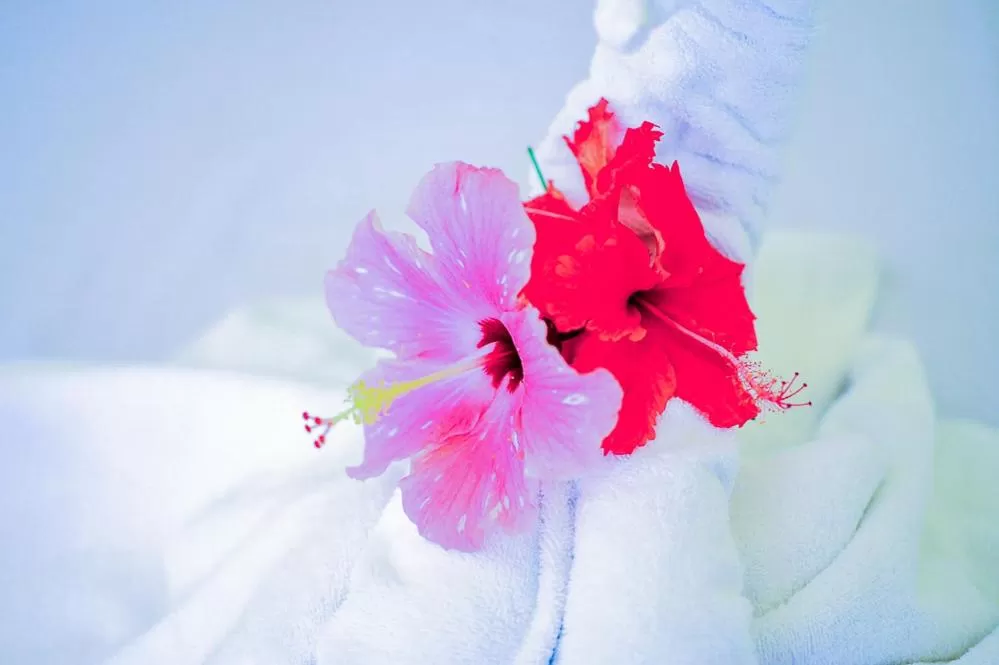 Camaya-an Paradise Beach Resort