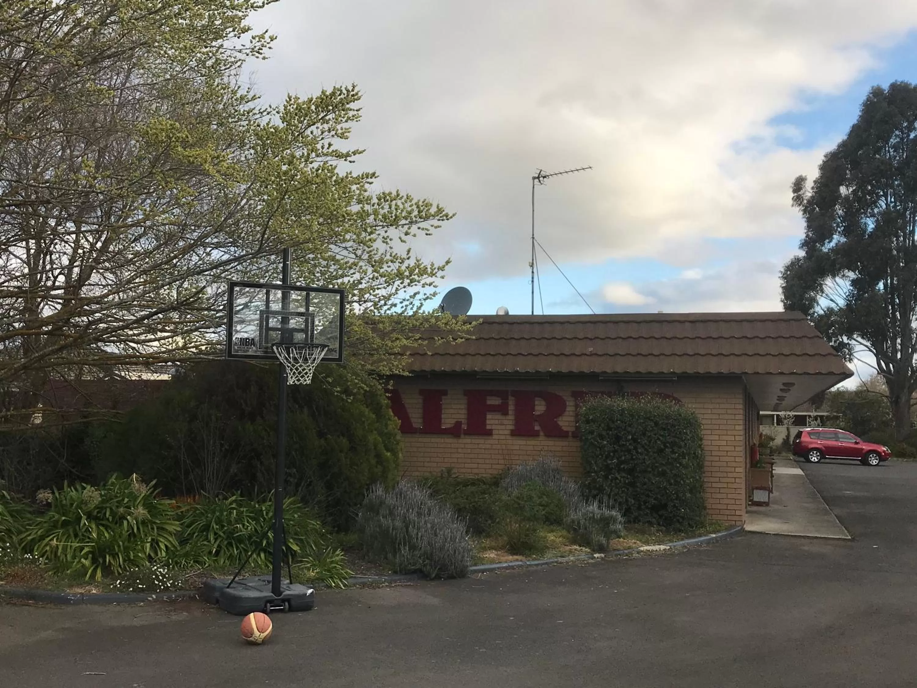Area and facilities in Alfred Motor Inn