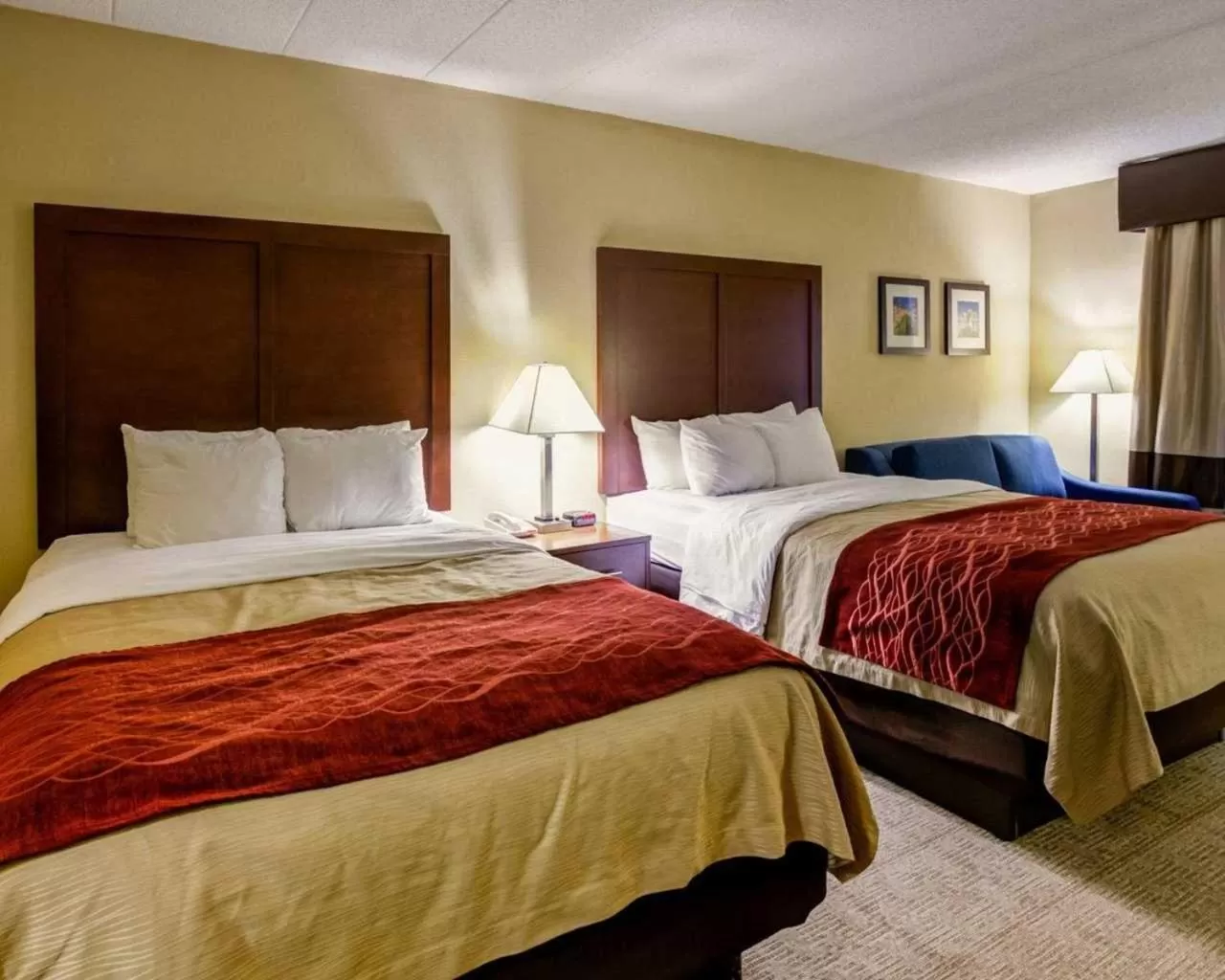 Bed in Comfort Inn Lexington I-75