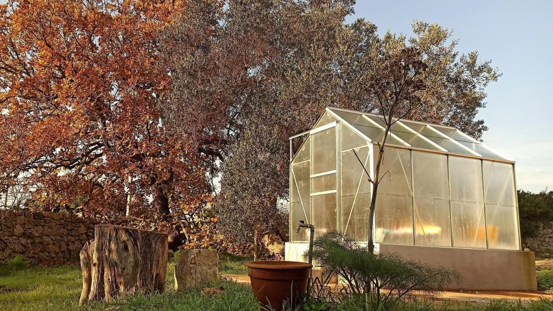 Spring in Masseria LoJazzo