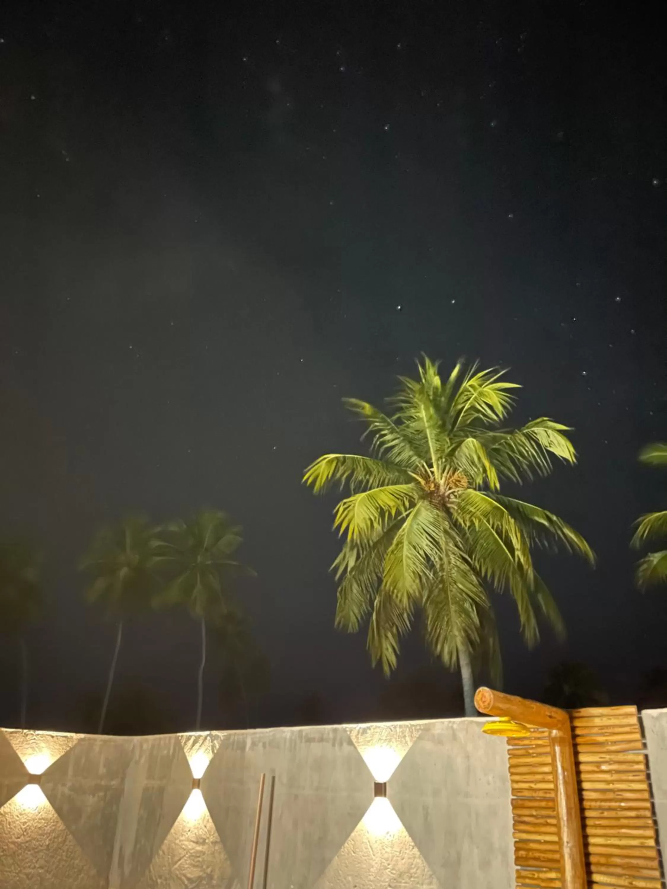 Night in Chalé Palhano Beach