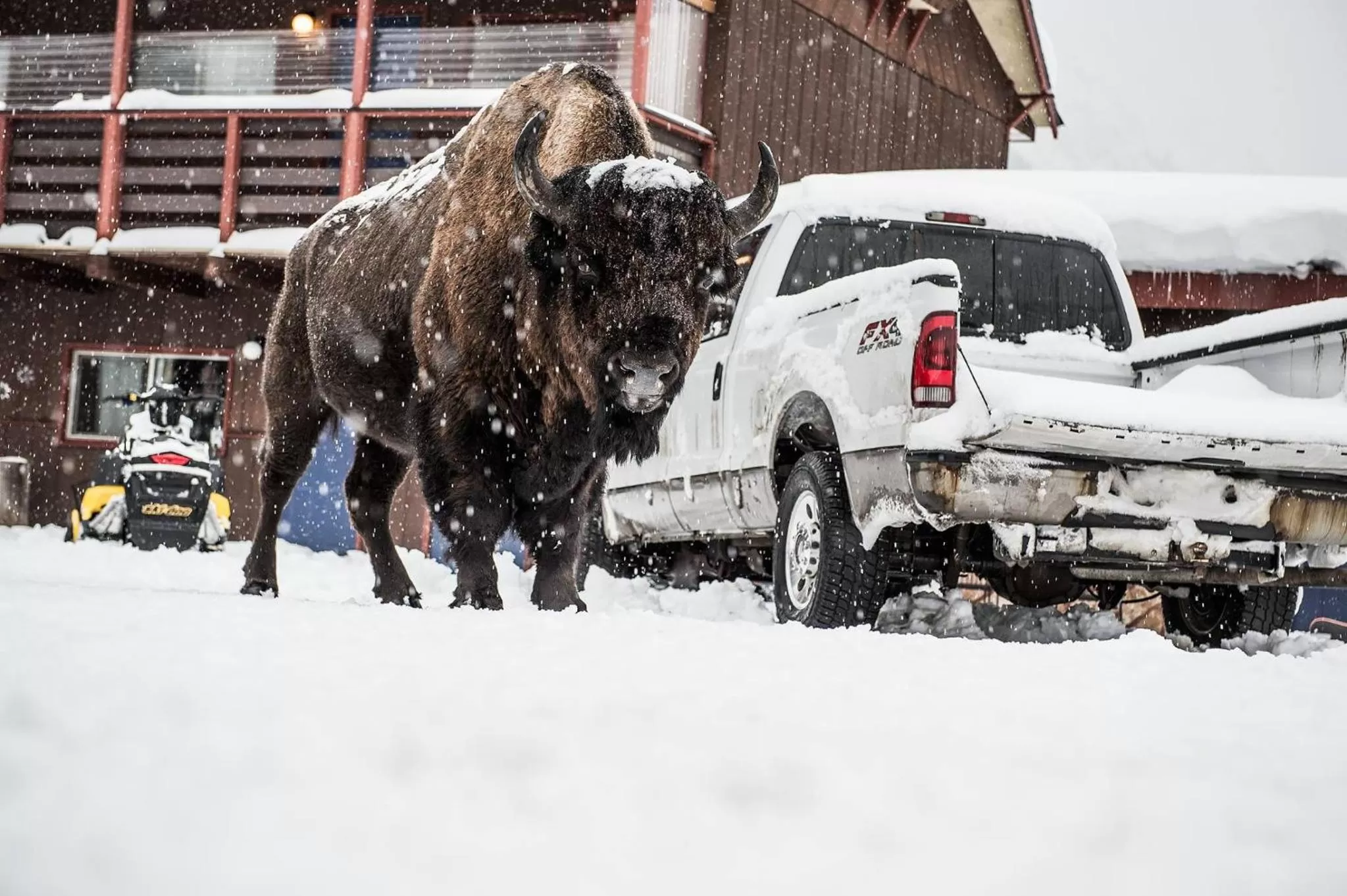 Property building in High Country Motel and Cabins