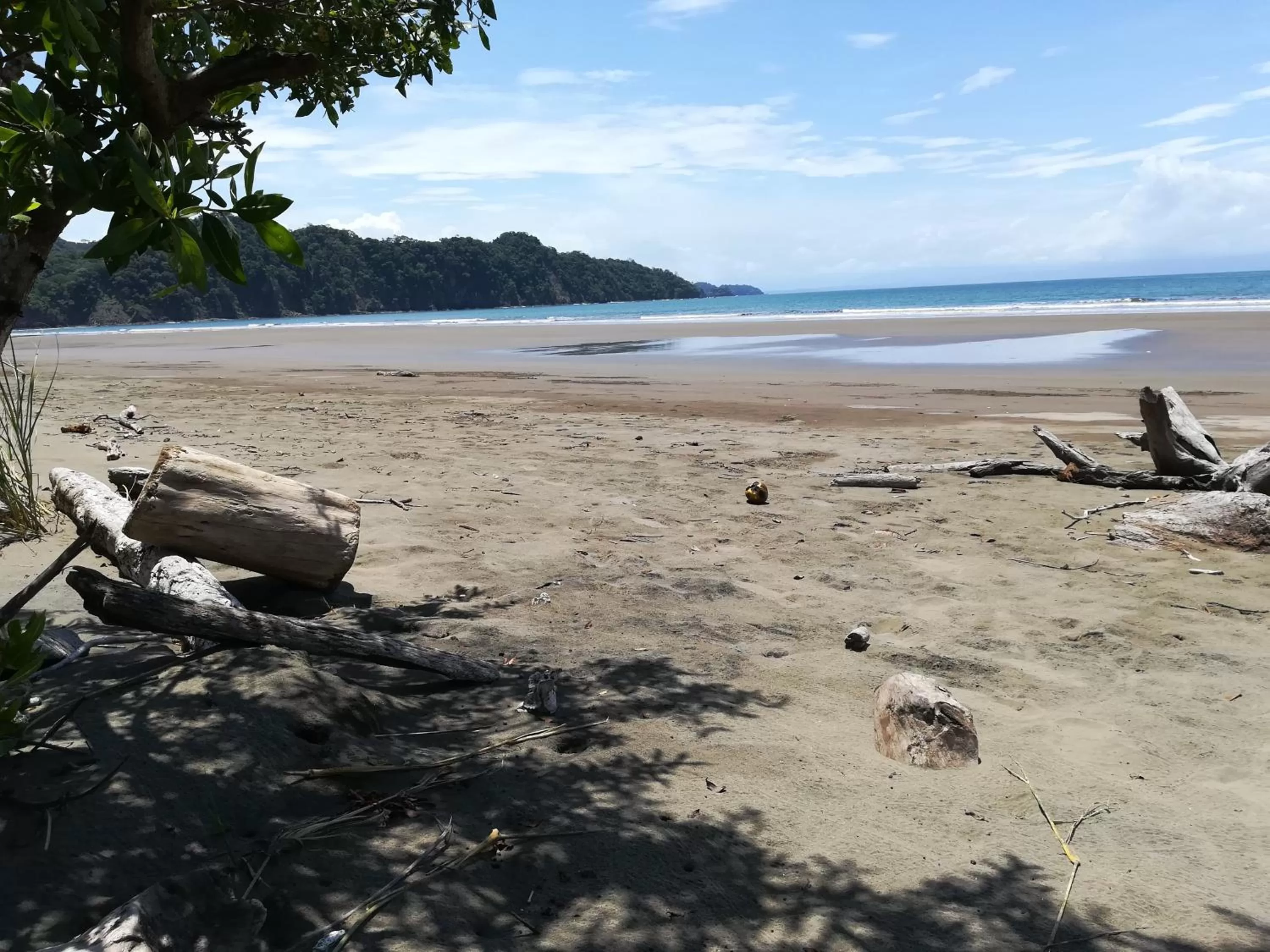 Beach in El Gecko Hotel & Tours