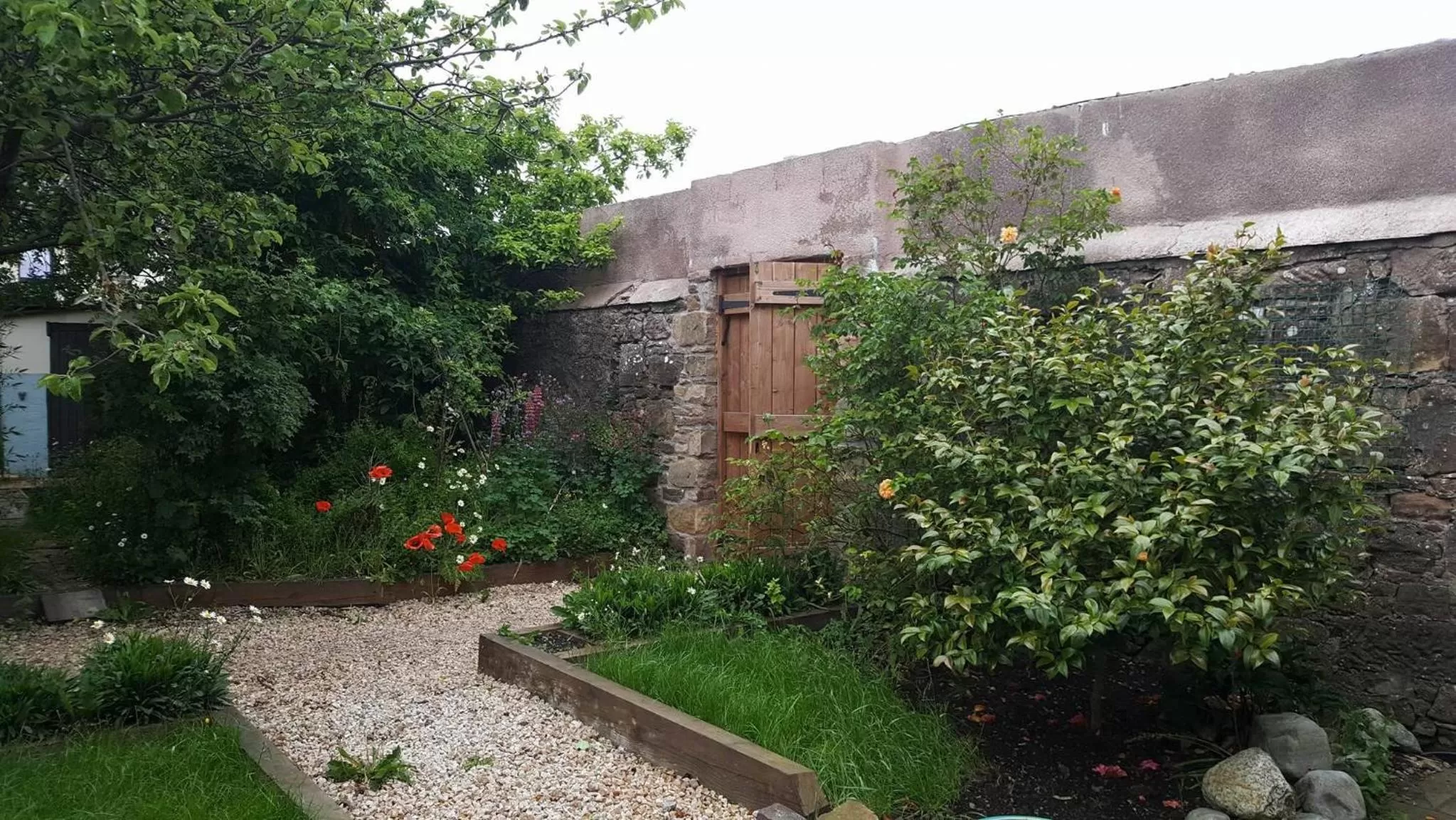 Garden in The Ship Inn