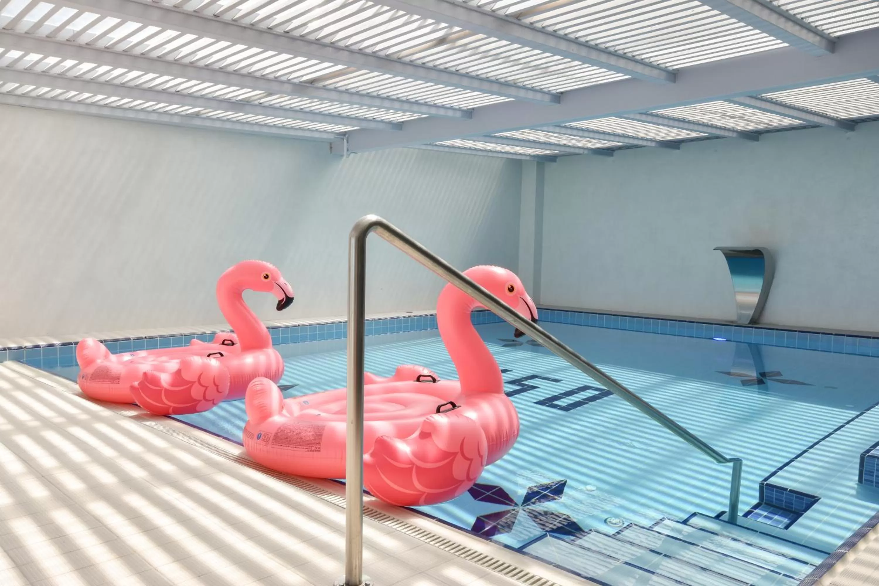 Swimming pool in Flamingo Hotel