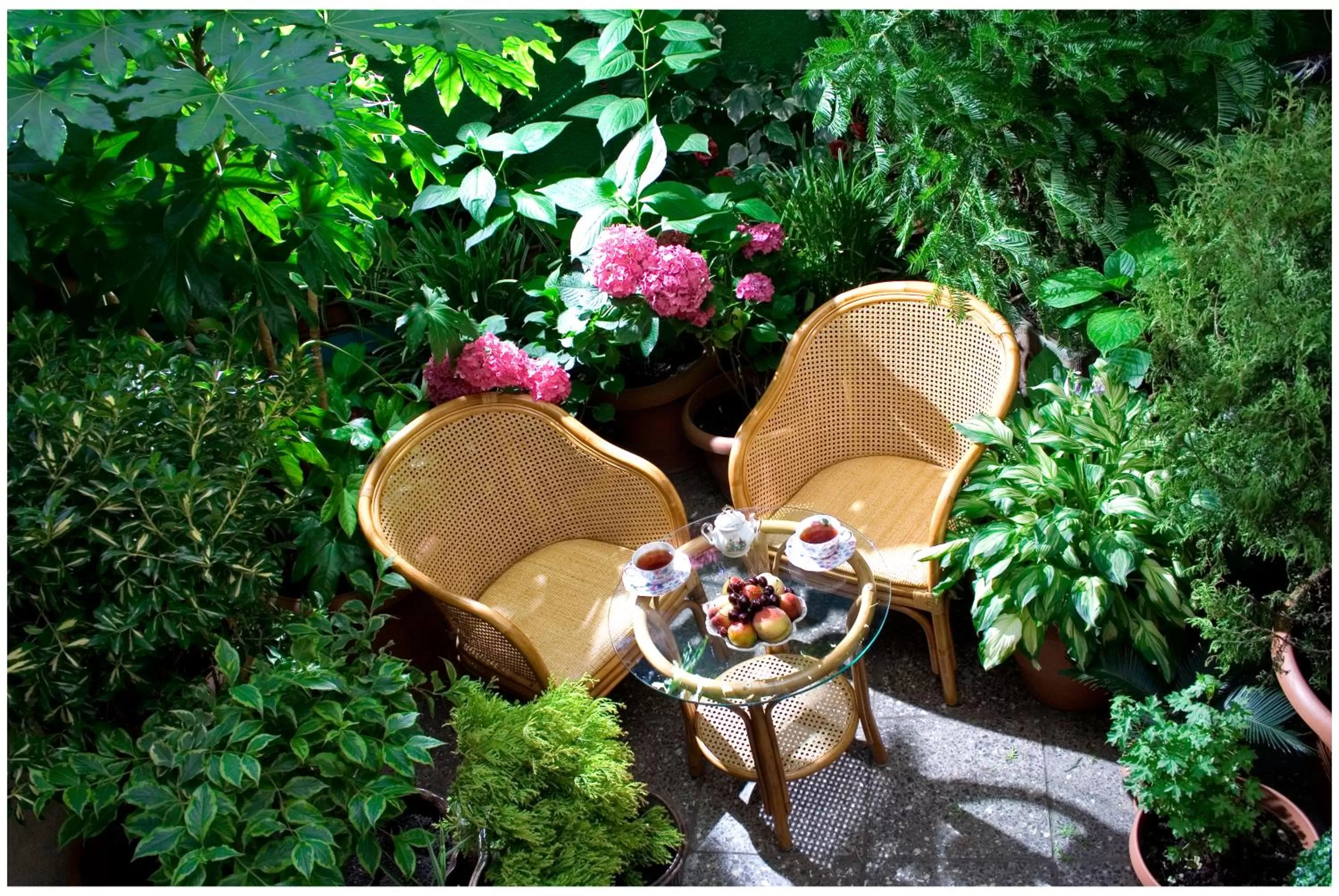 Property building in Hotel British House