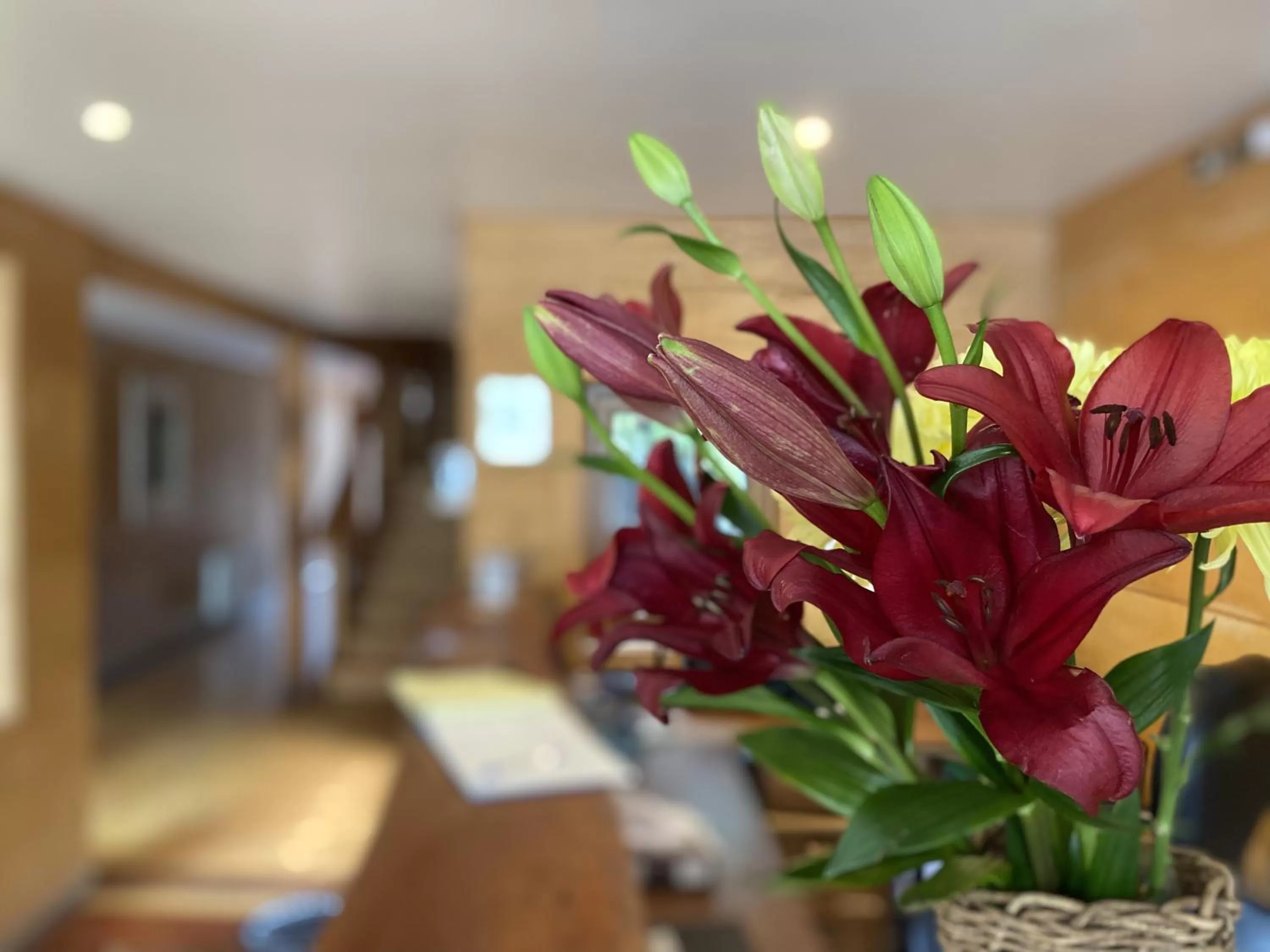 Lobby or reception in Palafito 1326 Hotel Boutique Chiloé