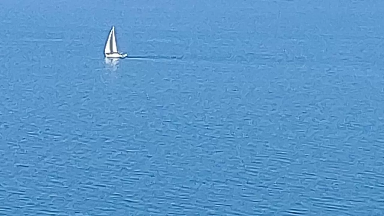 Sea view in PURE WELLNESS SEA-VIEW Beluga & Dolphin Luxury HOTEL apartments