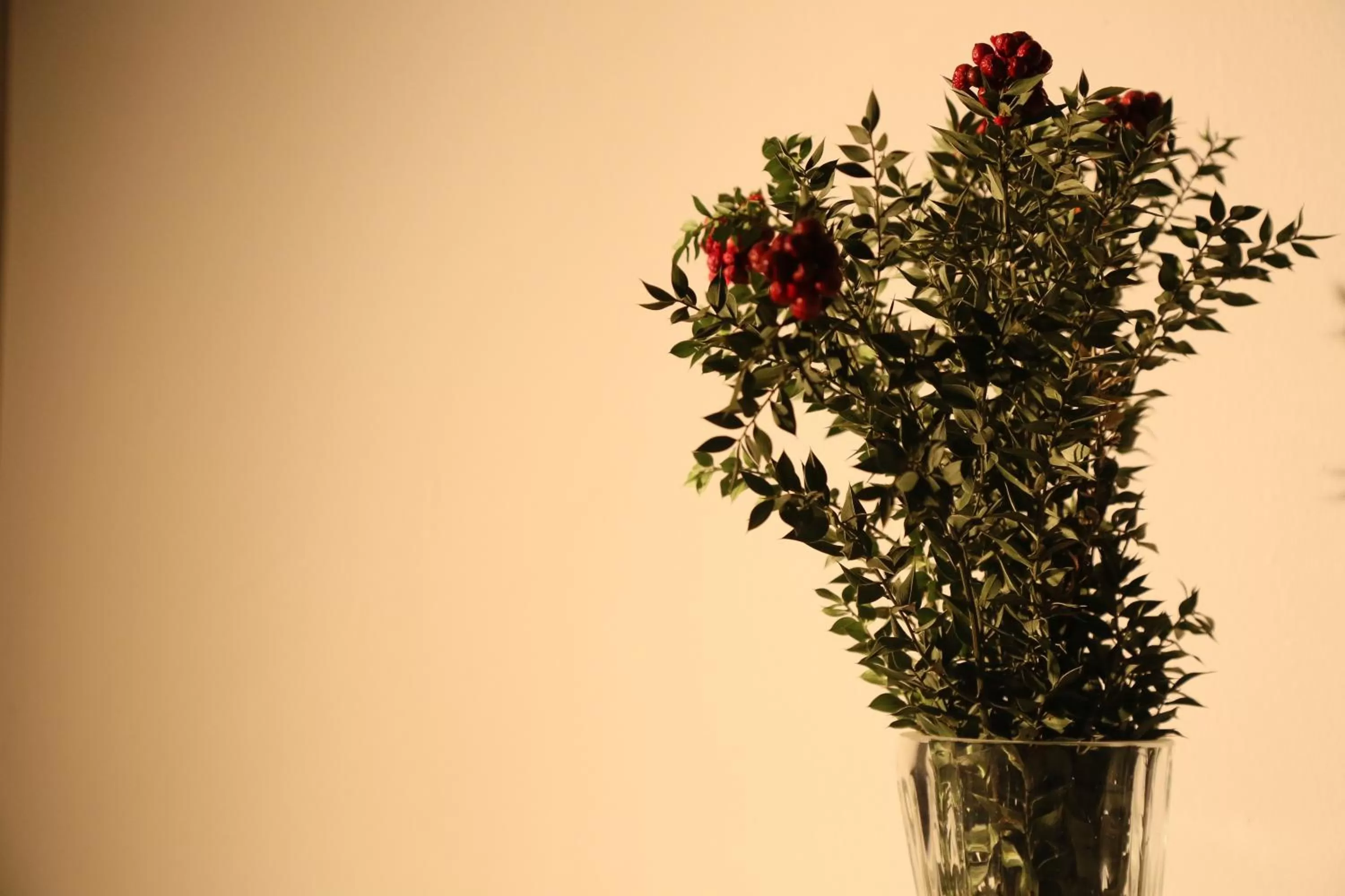 Decorative detail in Lavender Otel