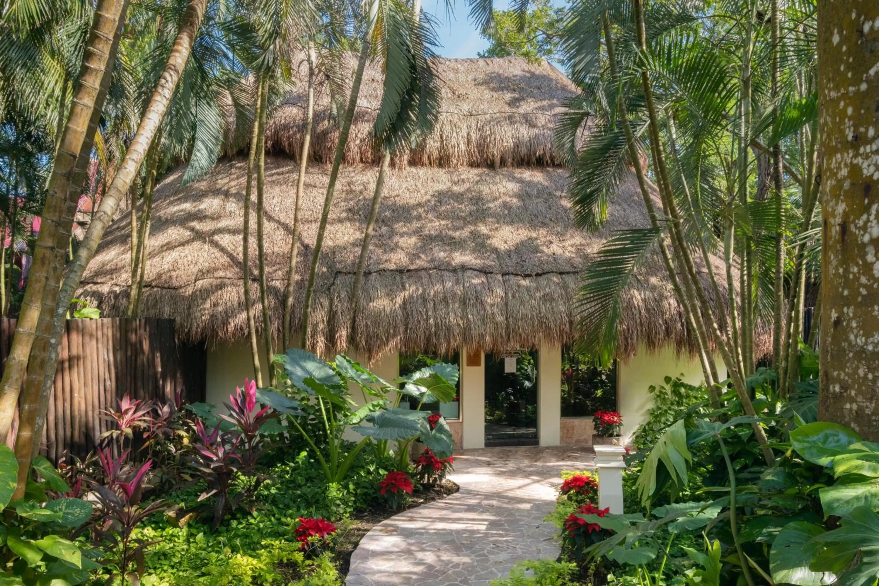 Spa and wellness centre/facilities in Iberostar Waves Cozumel - All Inclusive