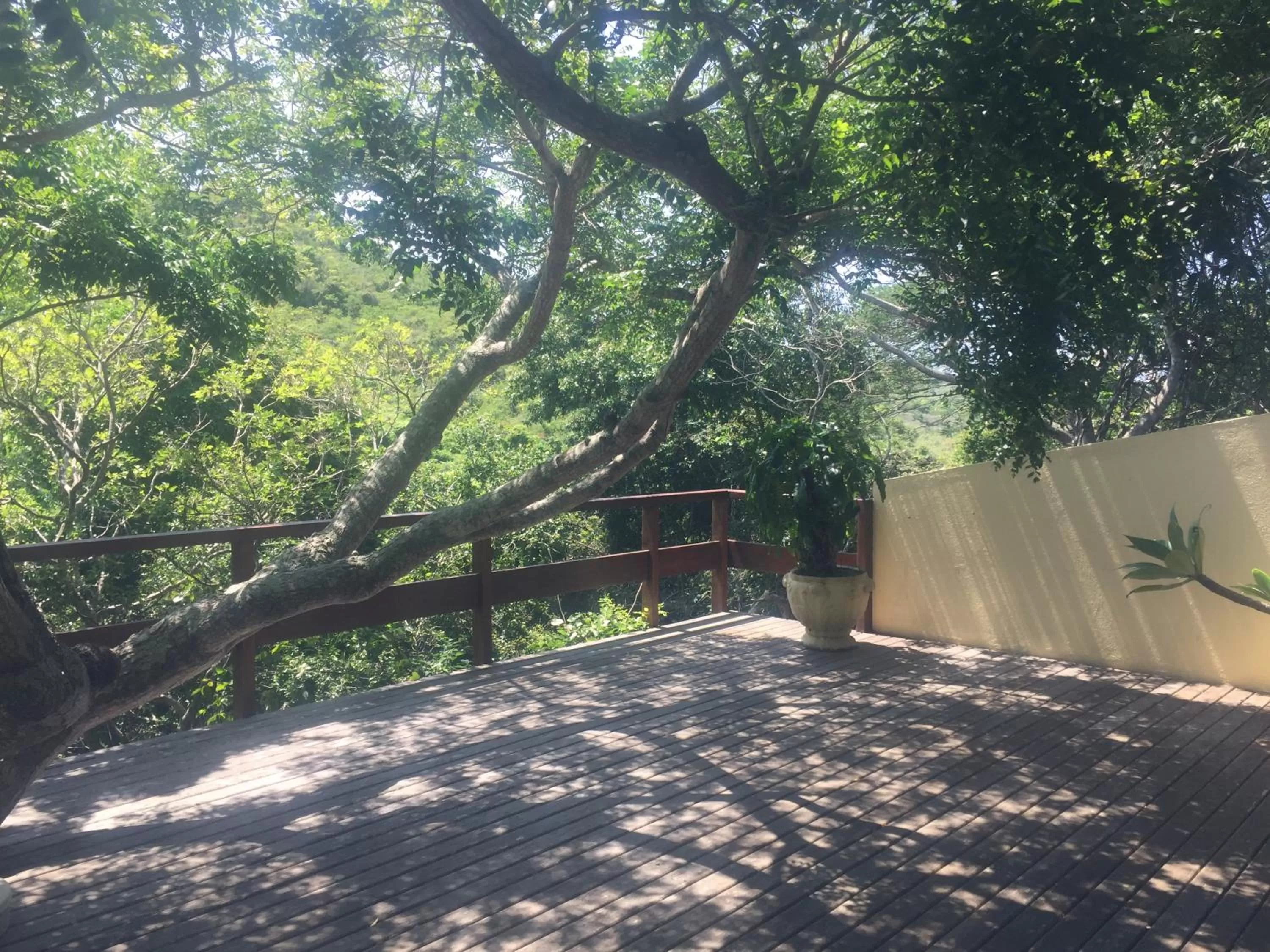 Day in Barlavento Suites