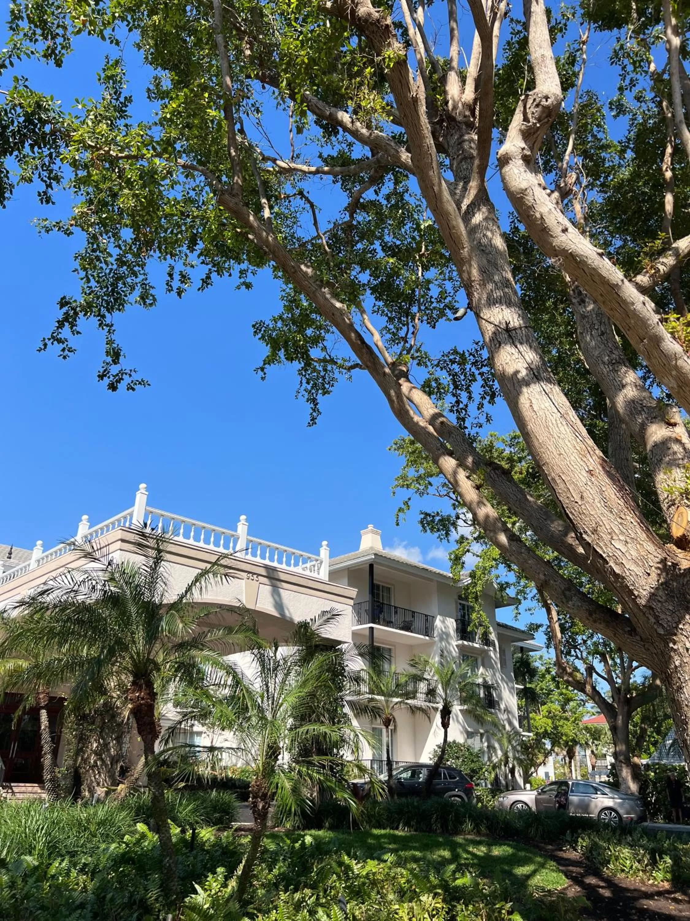 Property building in The Capri Inn