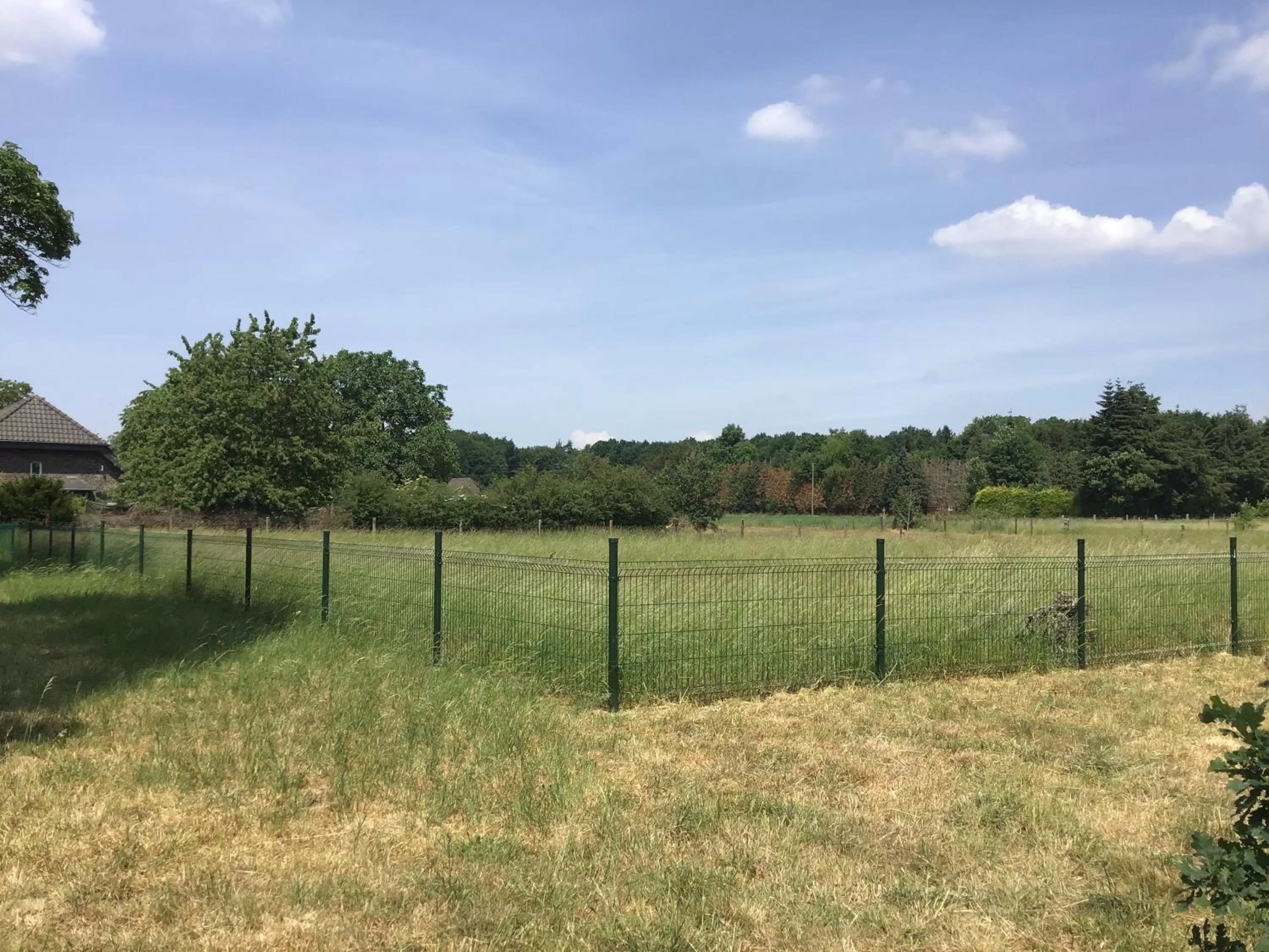 Garden, Other Activities in Nergena Zimmer Frei