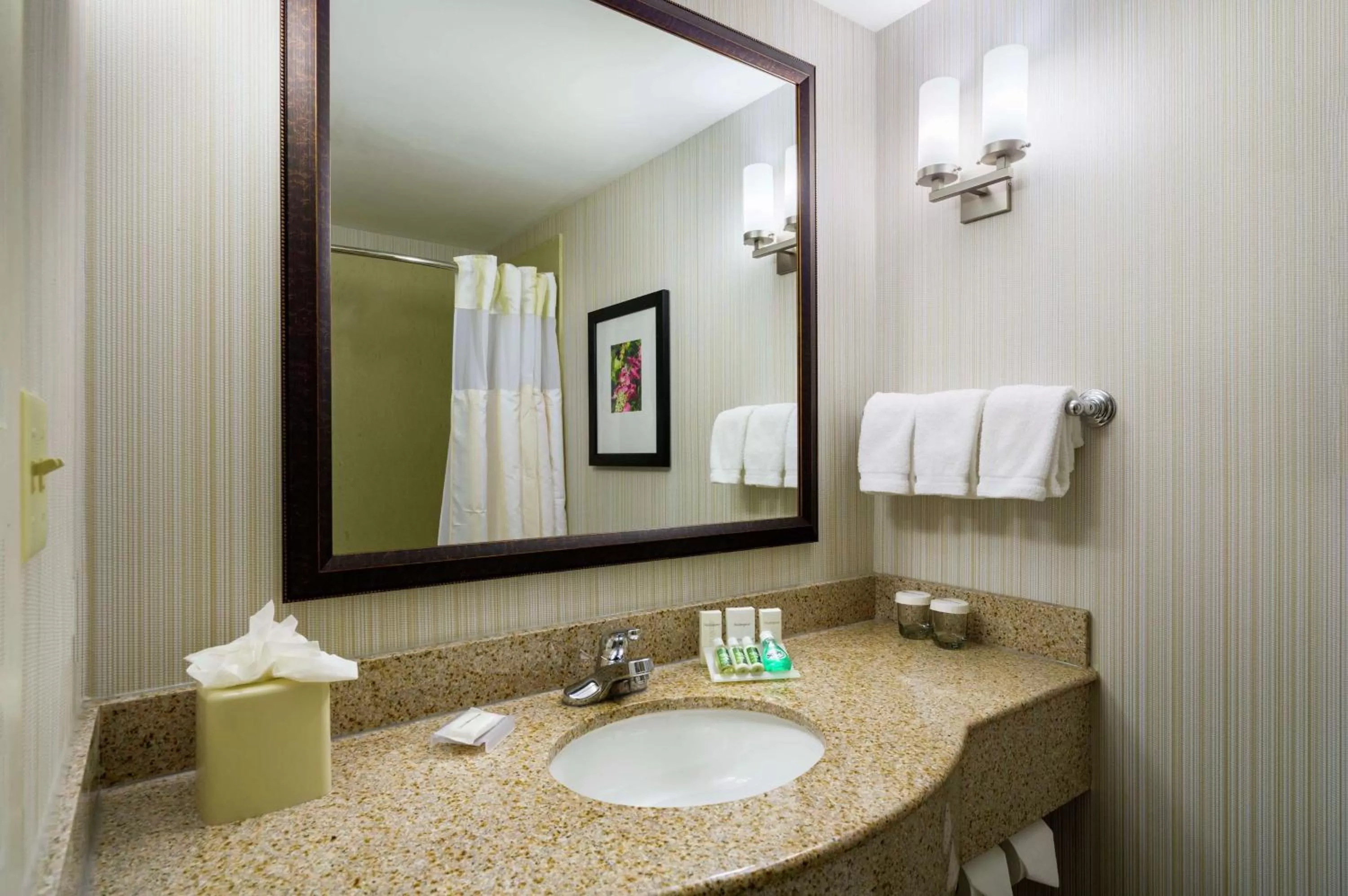 Bathroom in Hilton Garden Inn Edison/Raritan Center