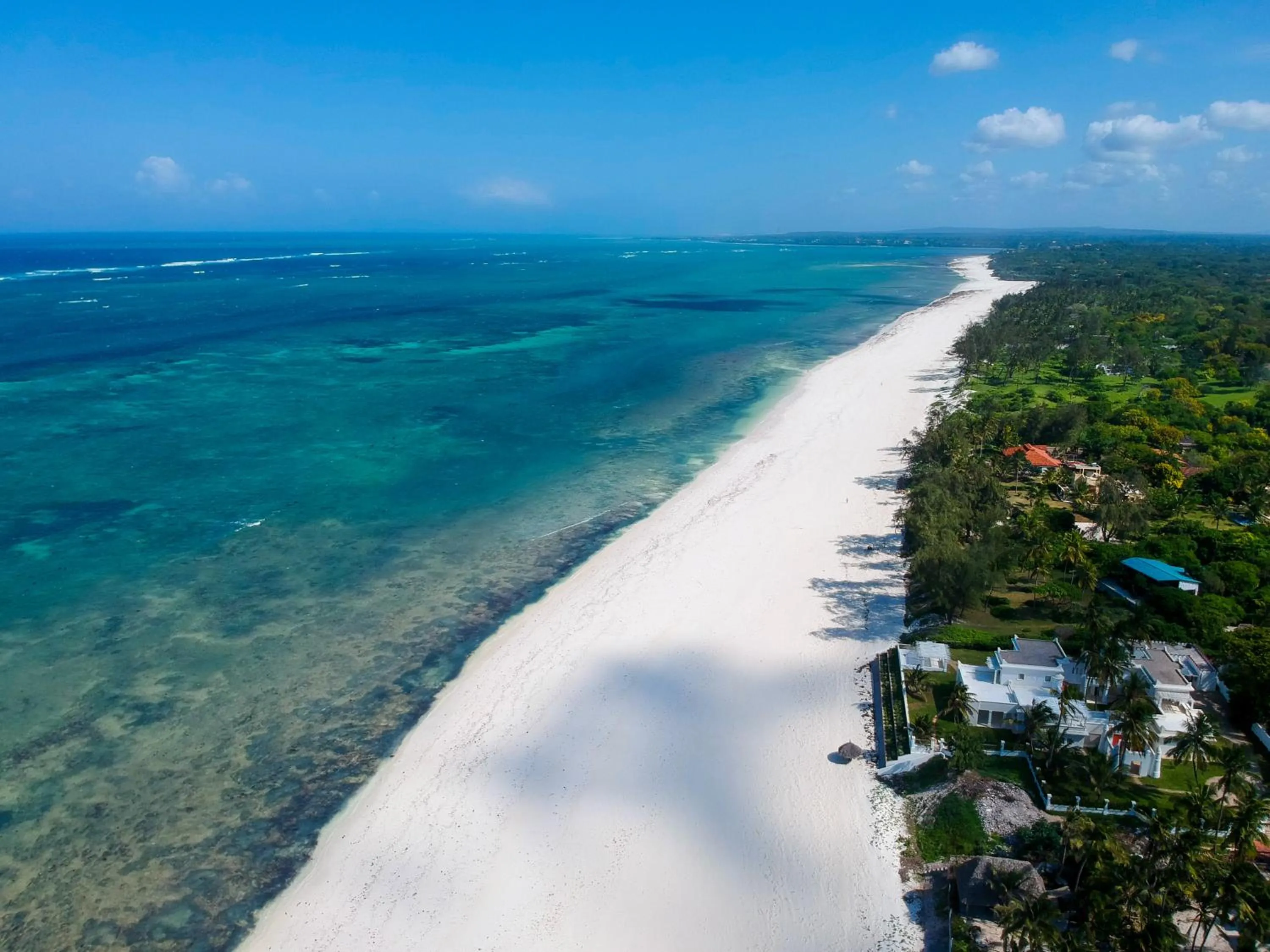 Beach in Distant Relatives Ecolodge & Backpackers