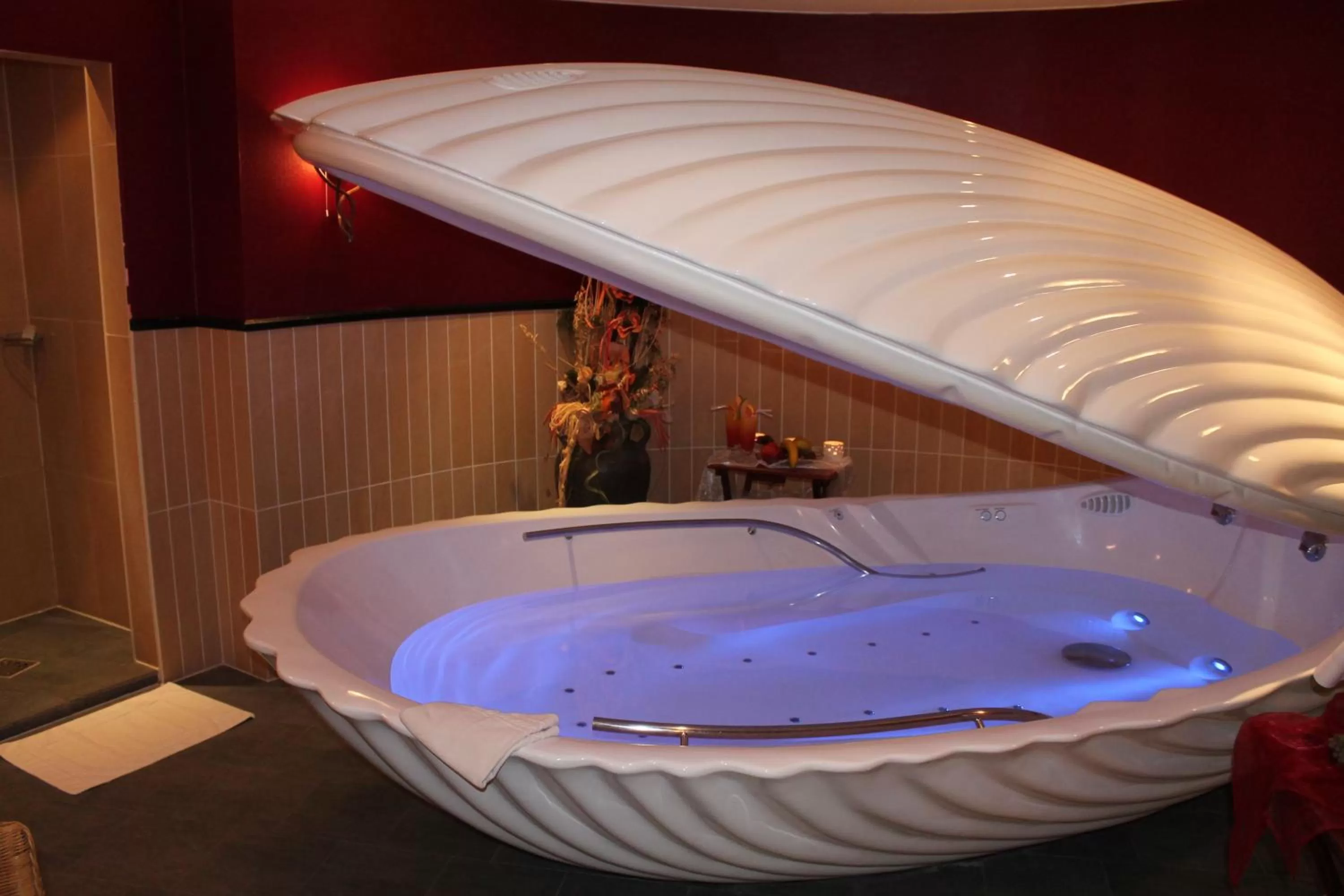 Spa and wellness centre/facilities in Hotel Balneolum Superior