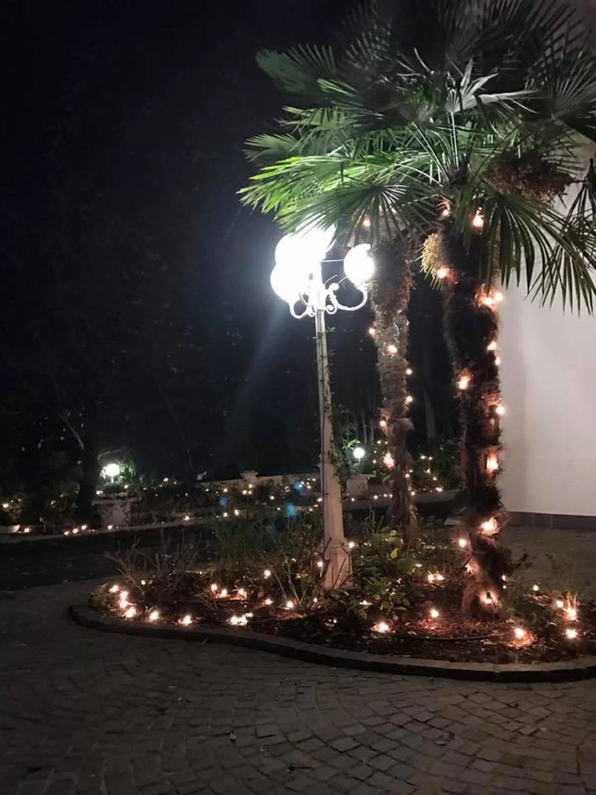 Garden view in Hotel Ristorante La Grotta