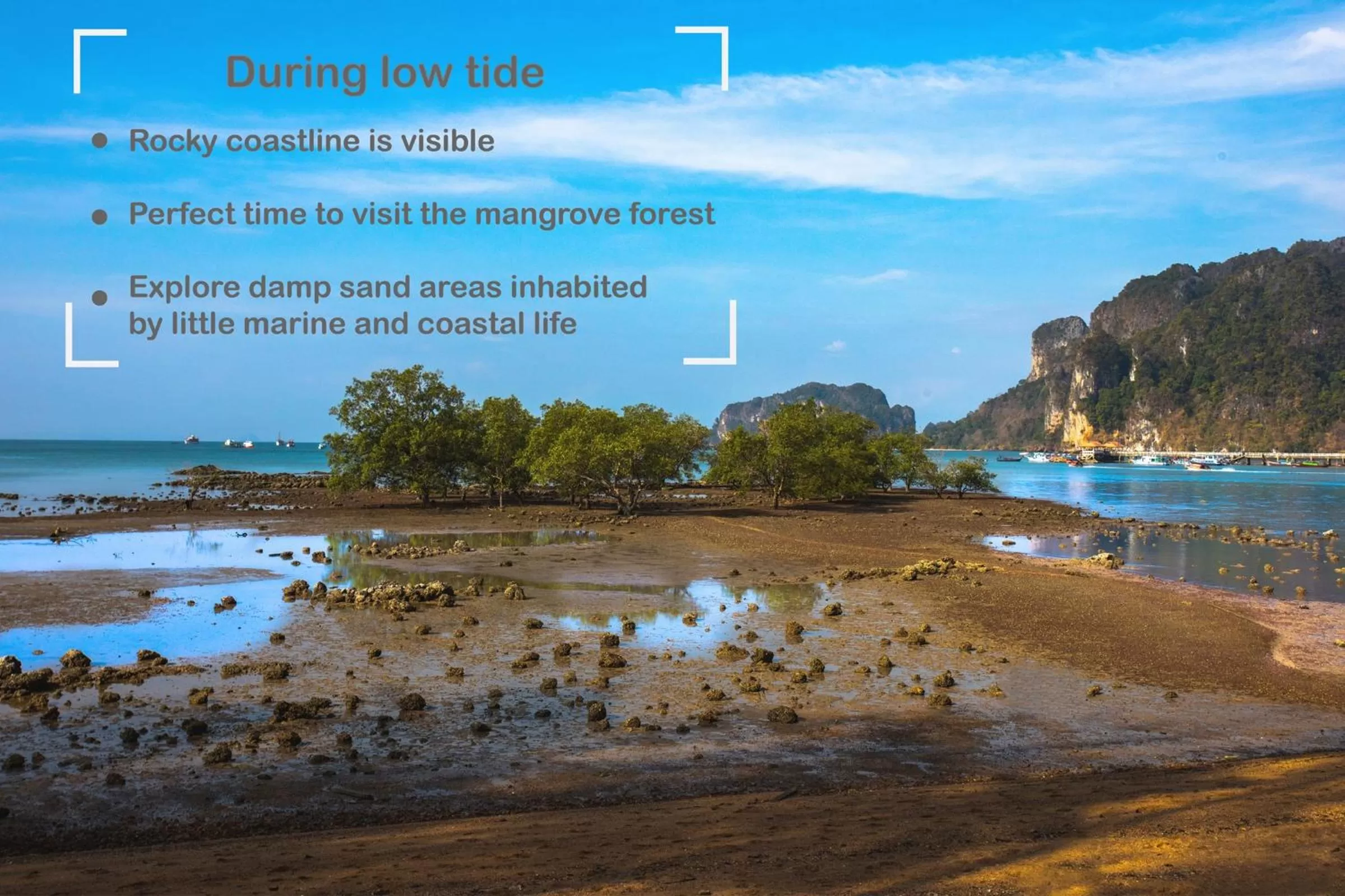 Beach in Villa Cha-Cha Krabi Beachfront Resort