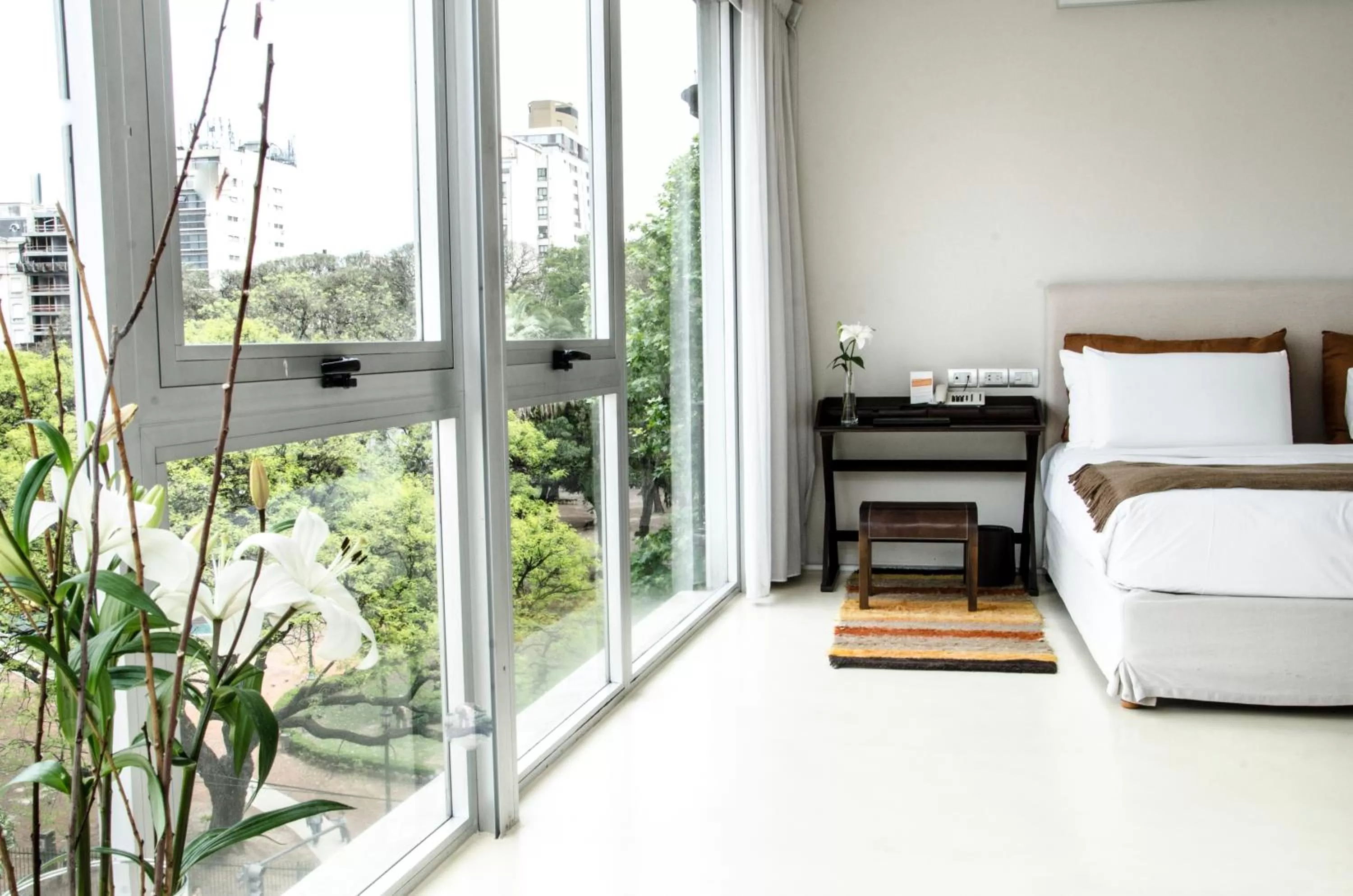 Deluxe Suite in Design cE - Hotel Boutique de Diseño