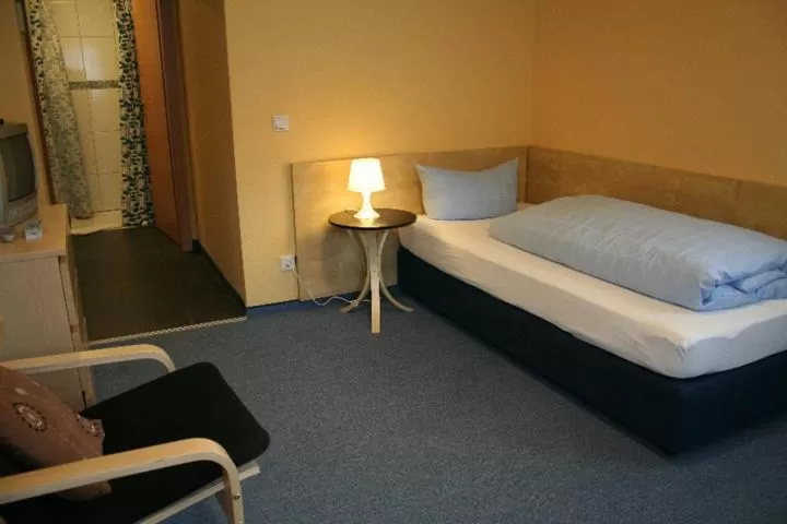 Single Room - single occupancy in Hotel Zum Grunewald