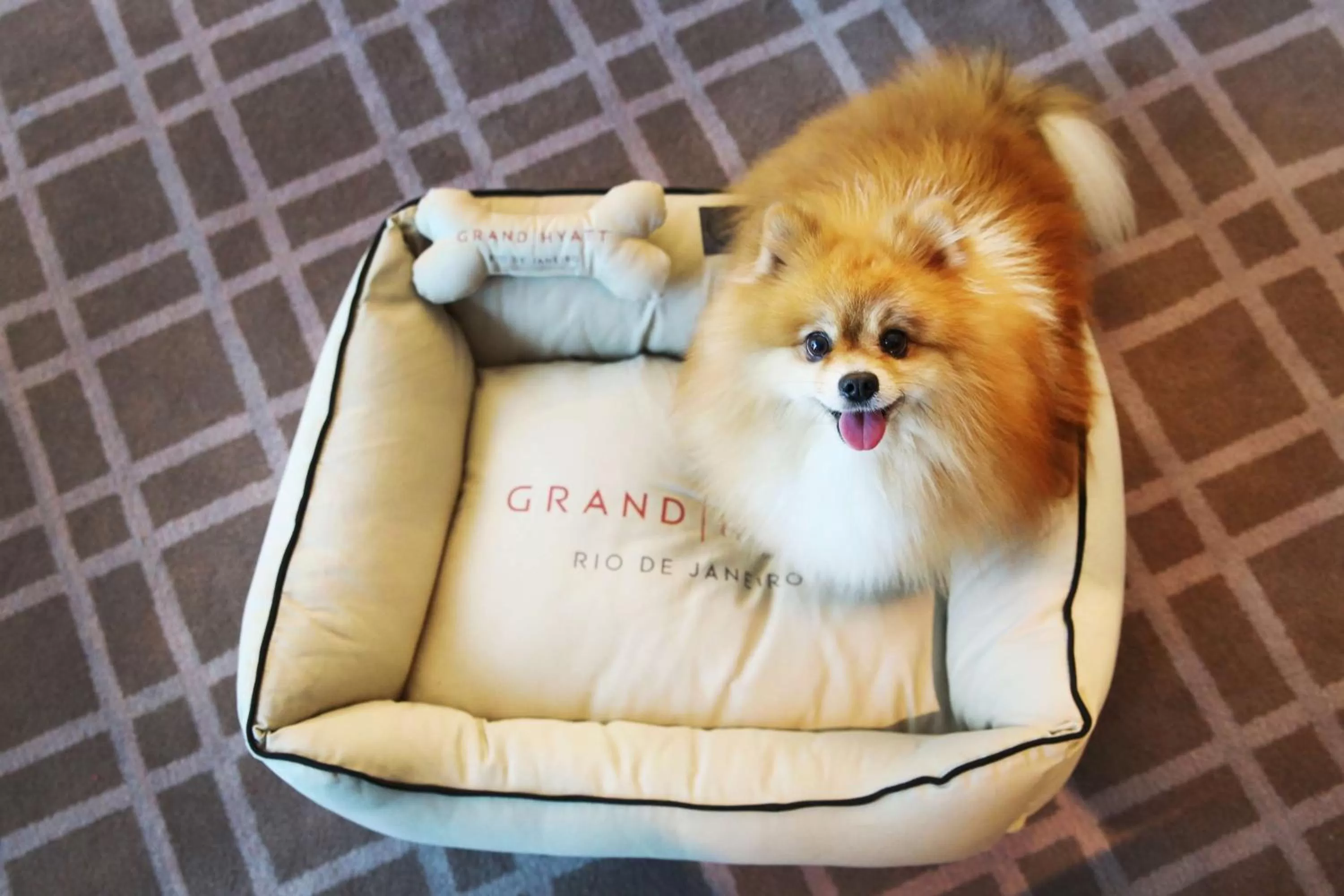 Photo of the whole room in Grand Hyatt Rio de Janeiro