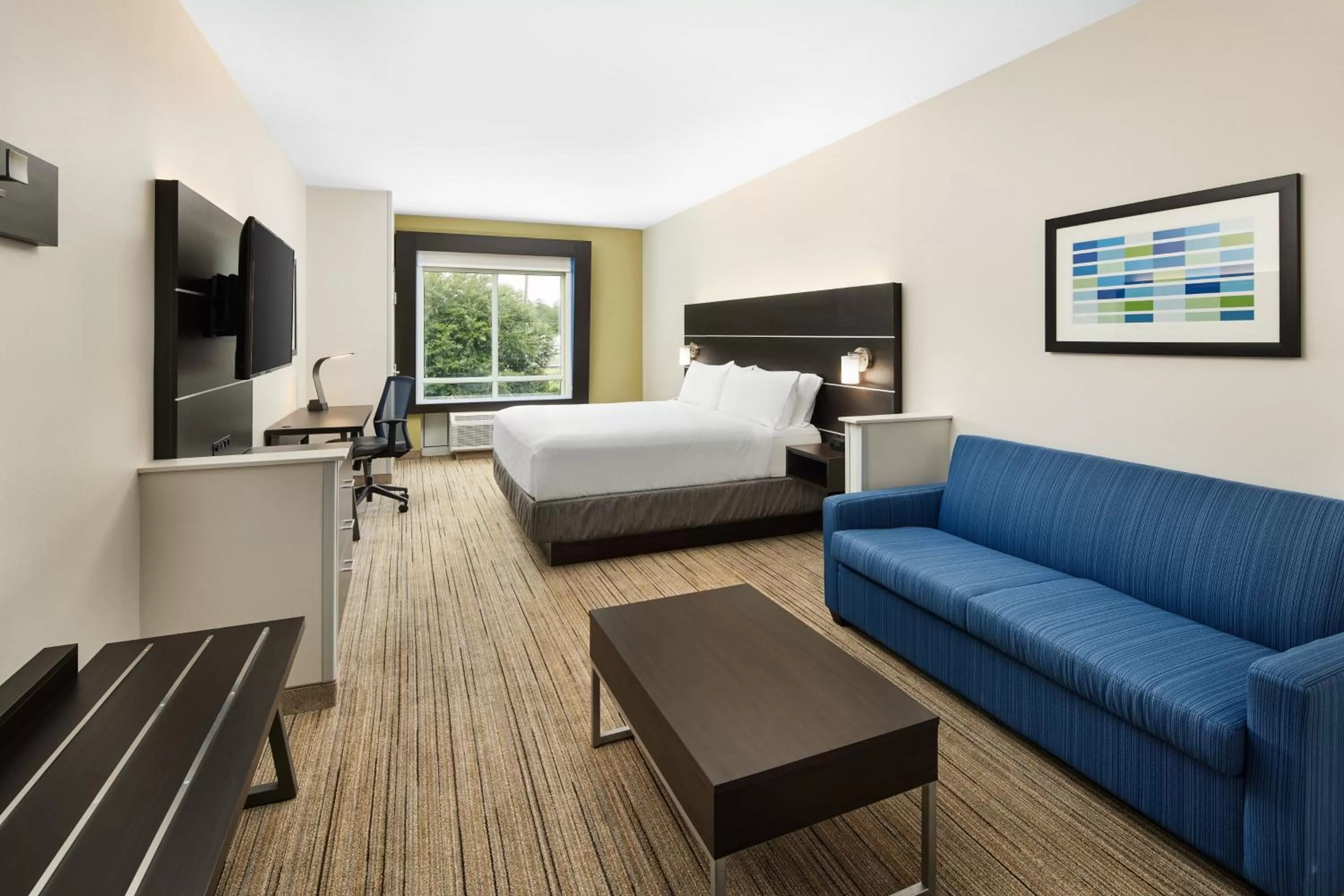 Photo of the whole room, Bed in Holiday Inn Express & Suites - Valdosta by IHG
