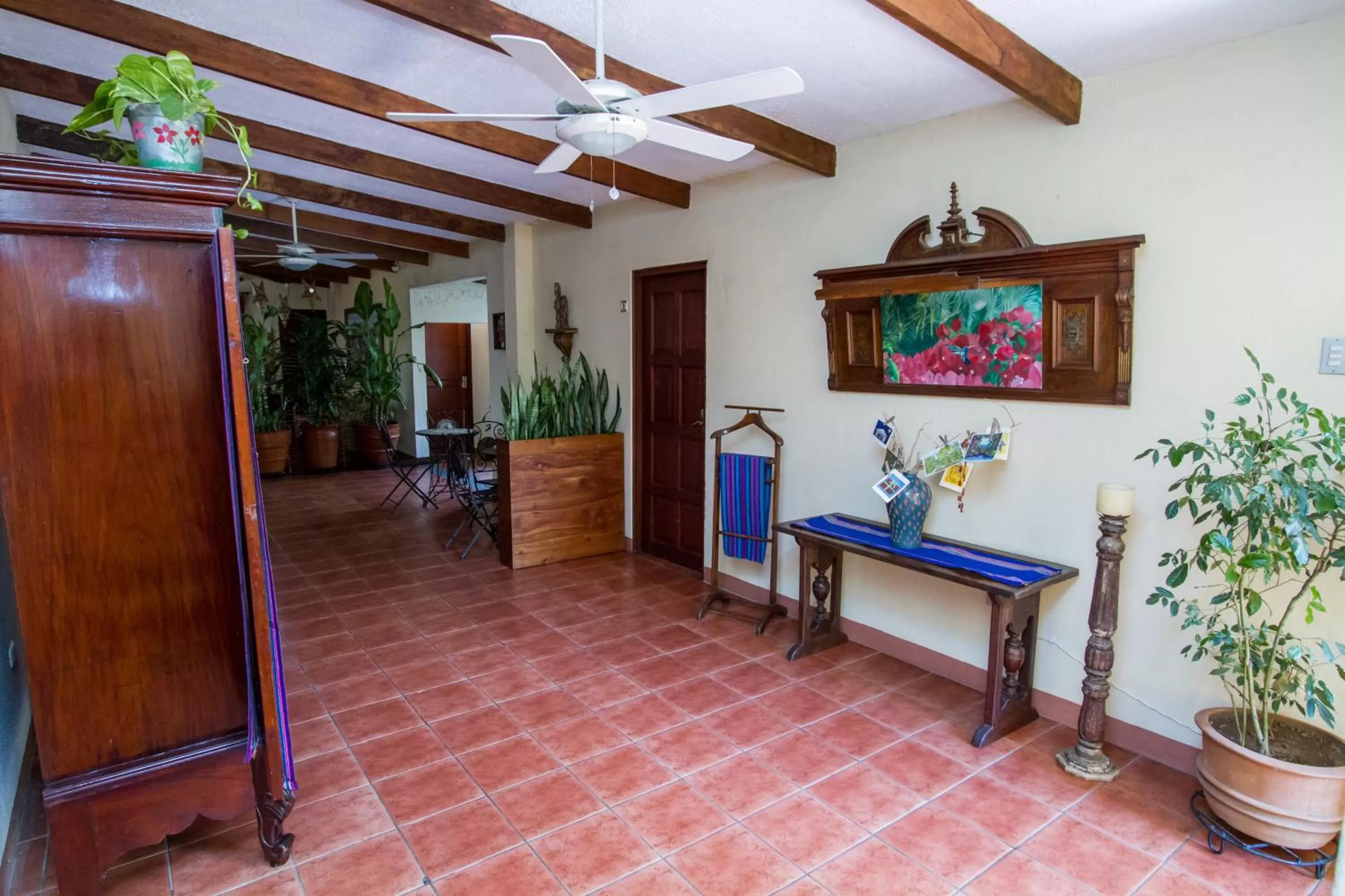 Area and facilities in Hotel Colibri