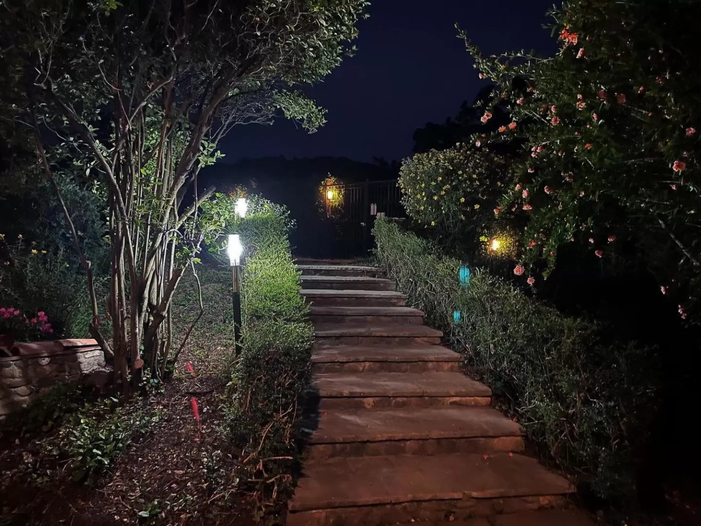 Night, Garden in B&B Giardino delle Camelie