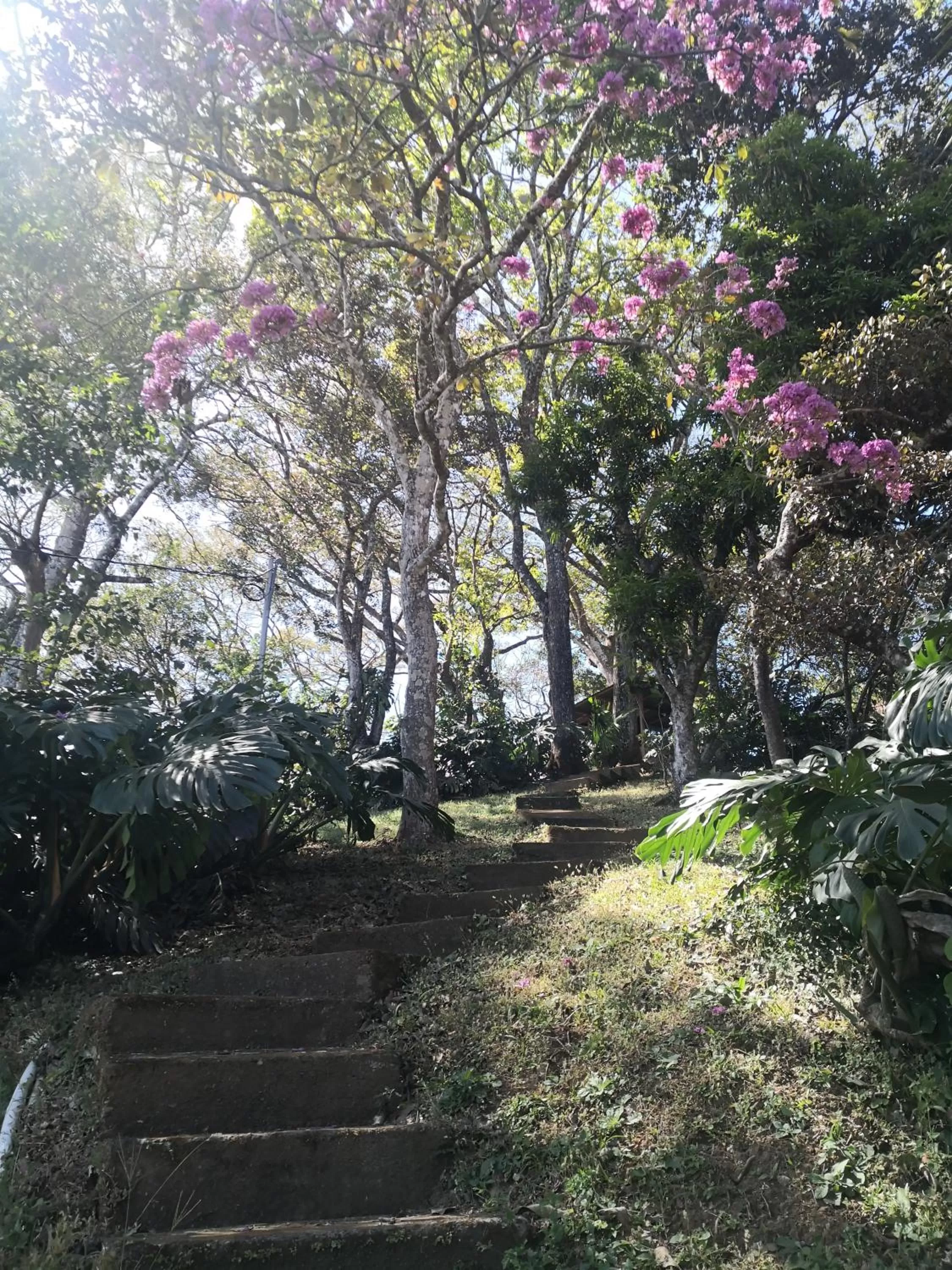 Hotel Villas de la Colina