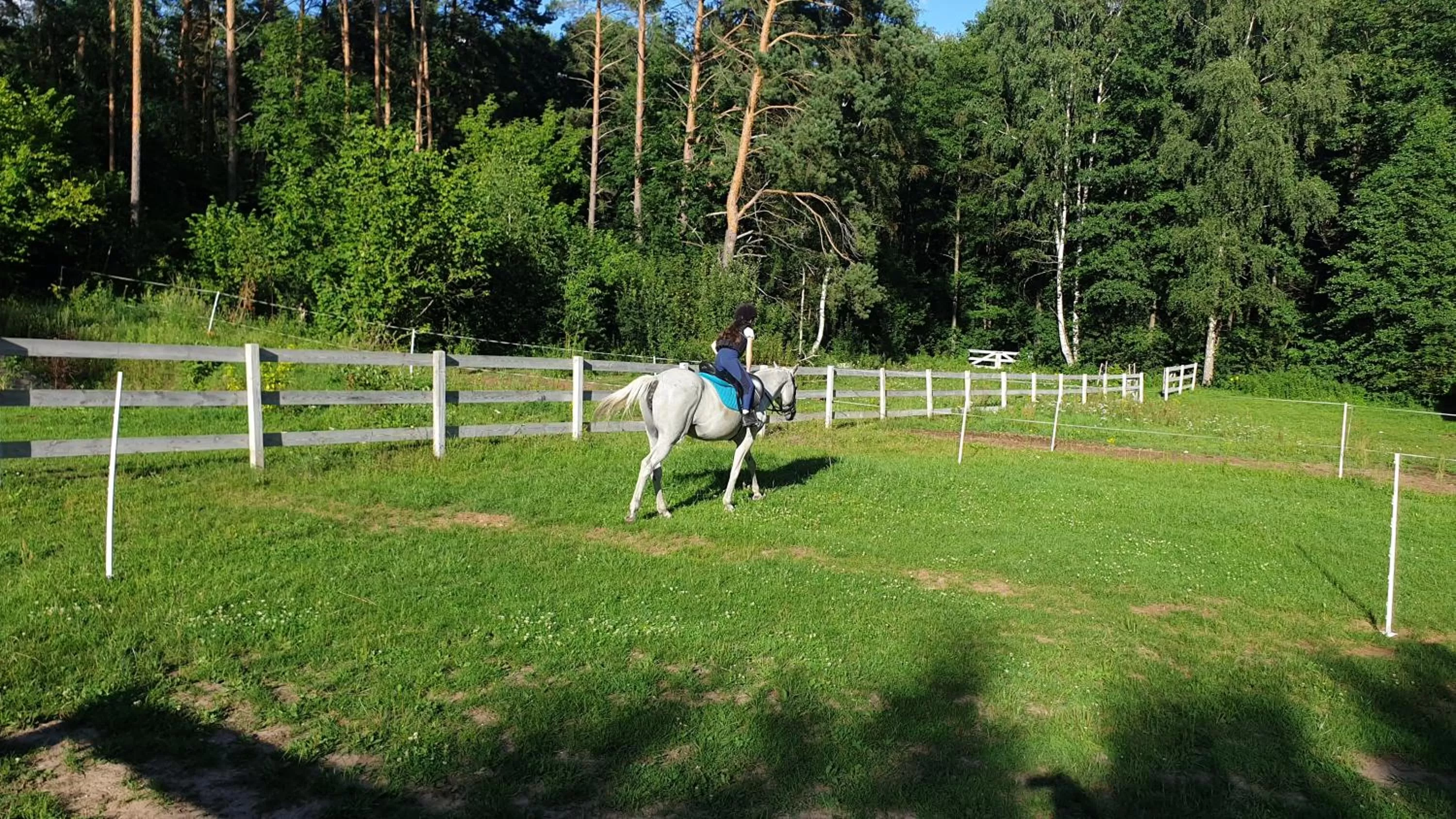 Day in Majątek Morgi