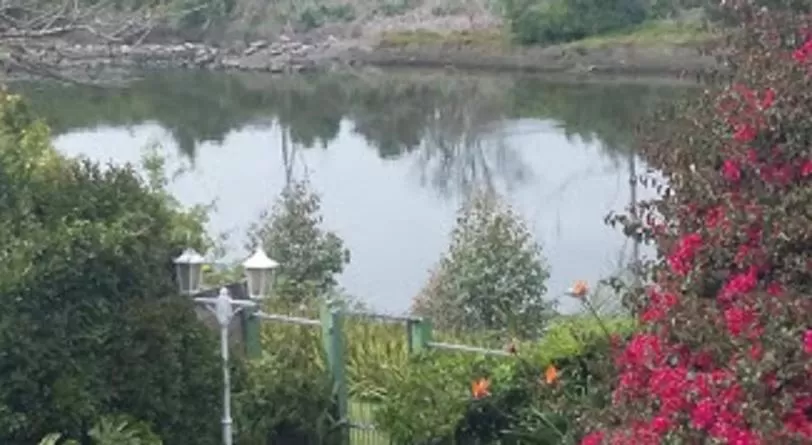 Forword's River Lodge