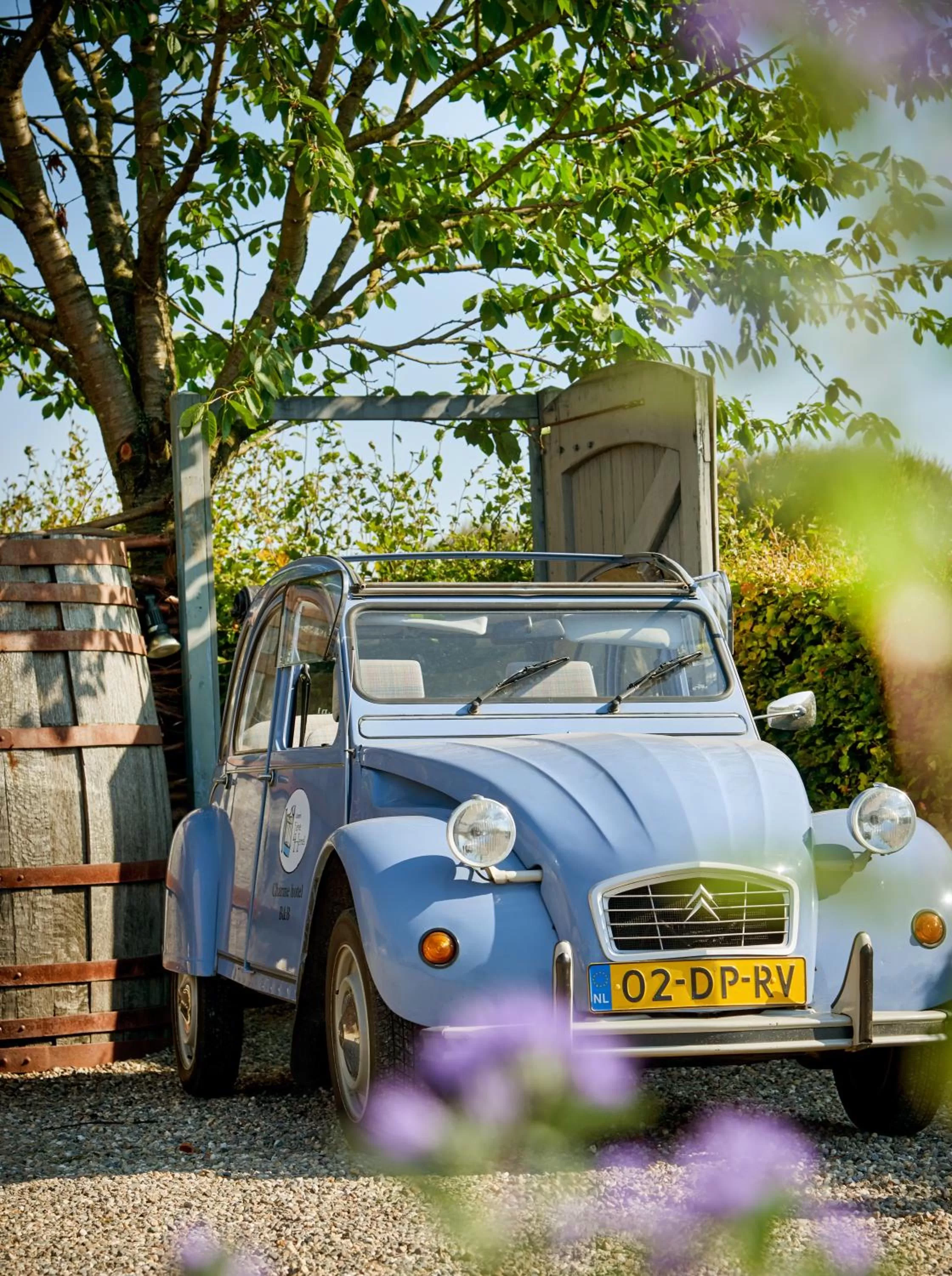 Area and facilities in Gasterie Lieve Hemel