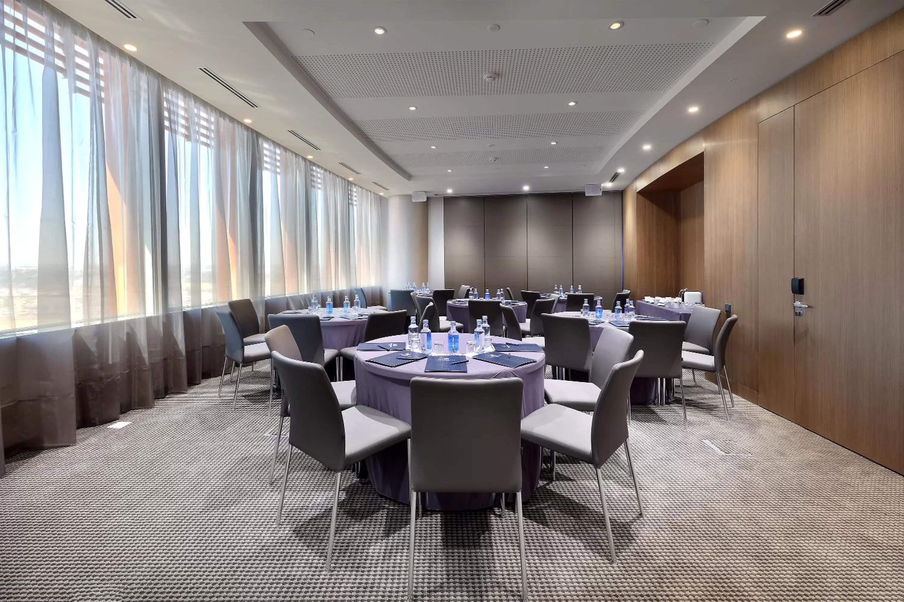 Business facilities in Eurostars Torre Sevilla