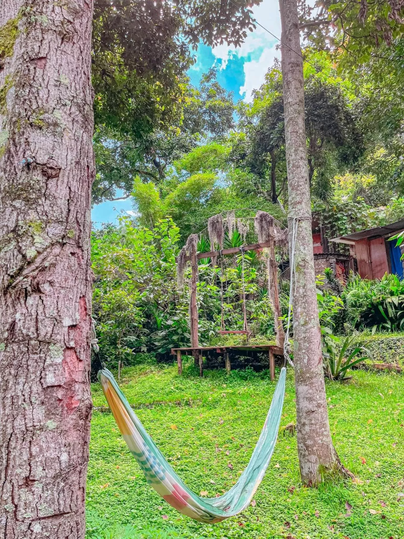 Garden in Eco-Hotel Mayachik