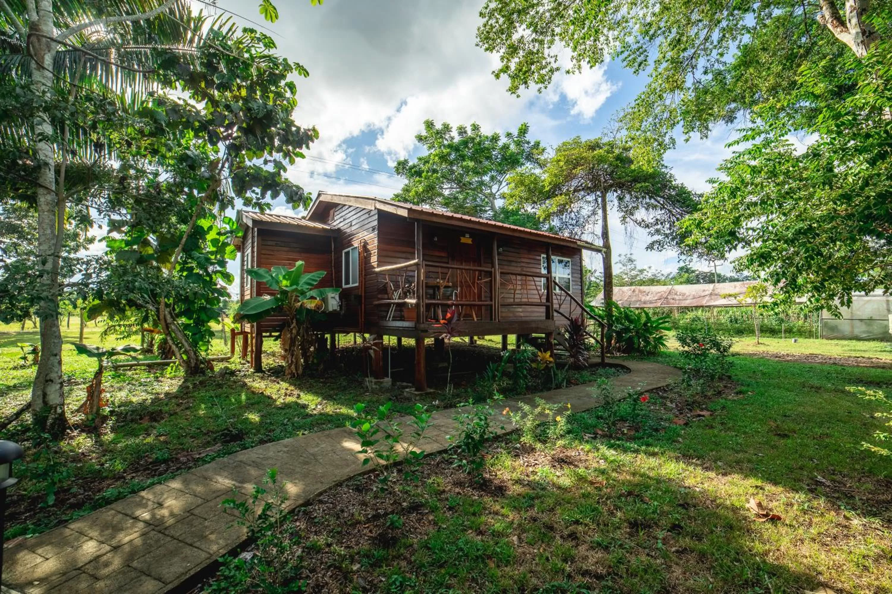 Property building in KikiWitz Resort