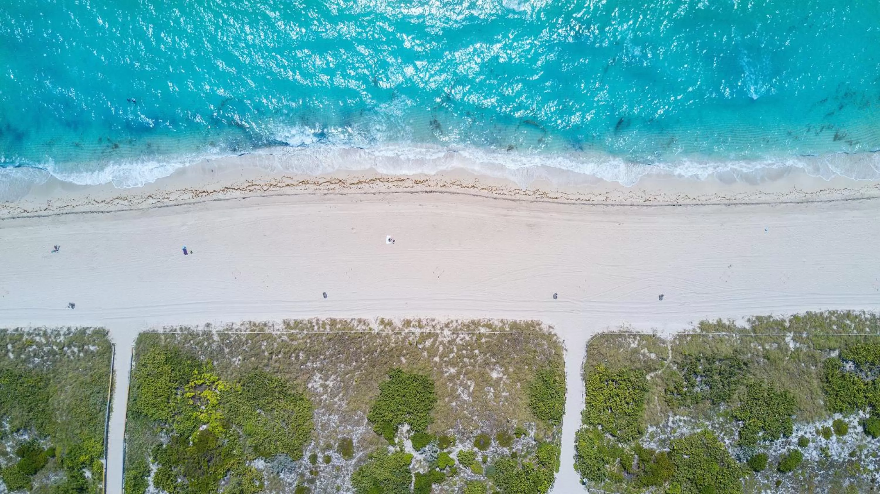 Property building, Bird's-eye View in The Donovan at Miami Beach