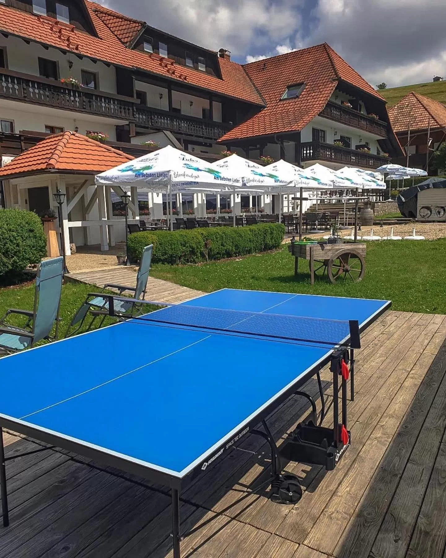 Sports, Table Tennis in Wohlfühlhotel Landmann