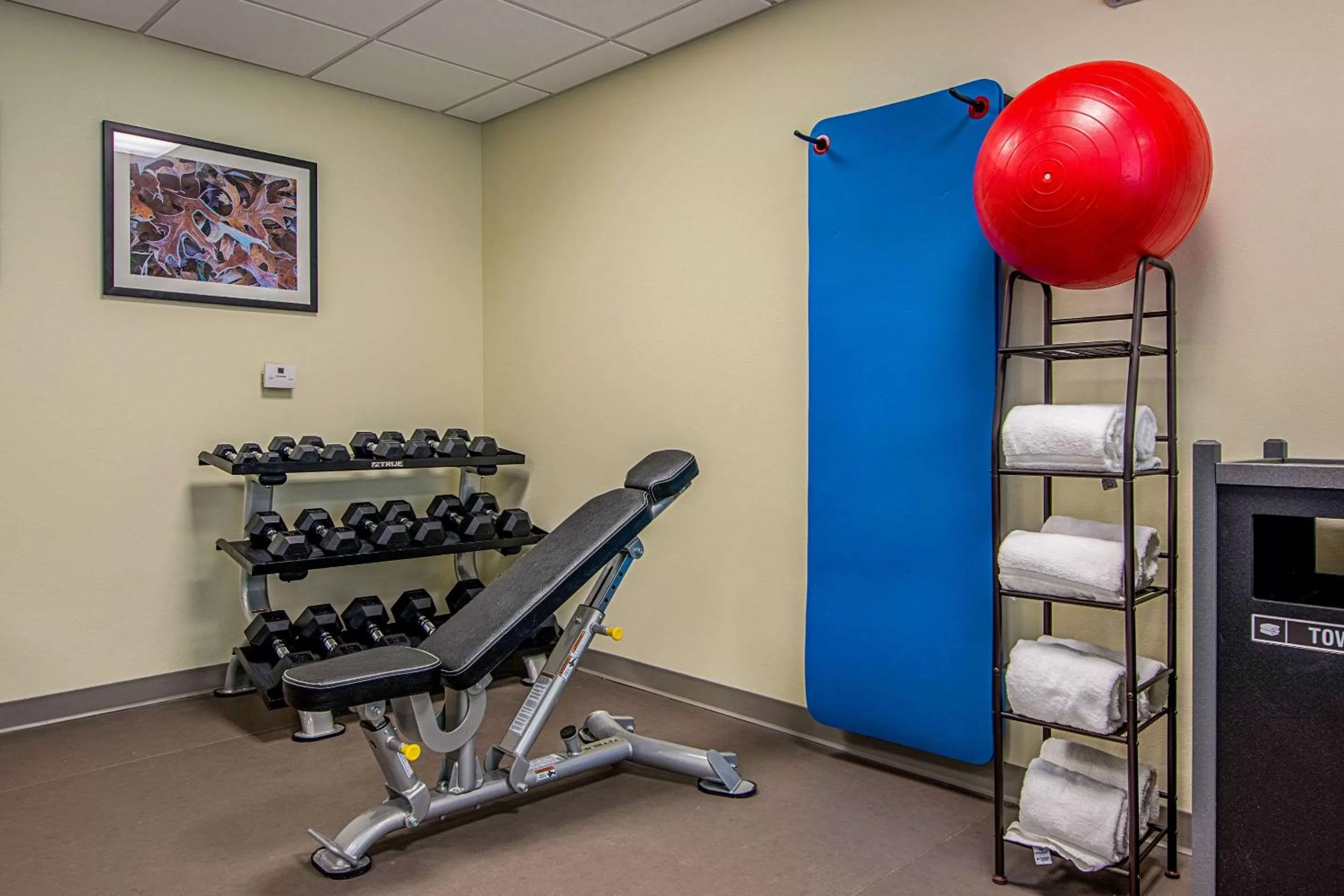 Fitness centre/facilities in Sleep Inn Geismar - Gonzales